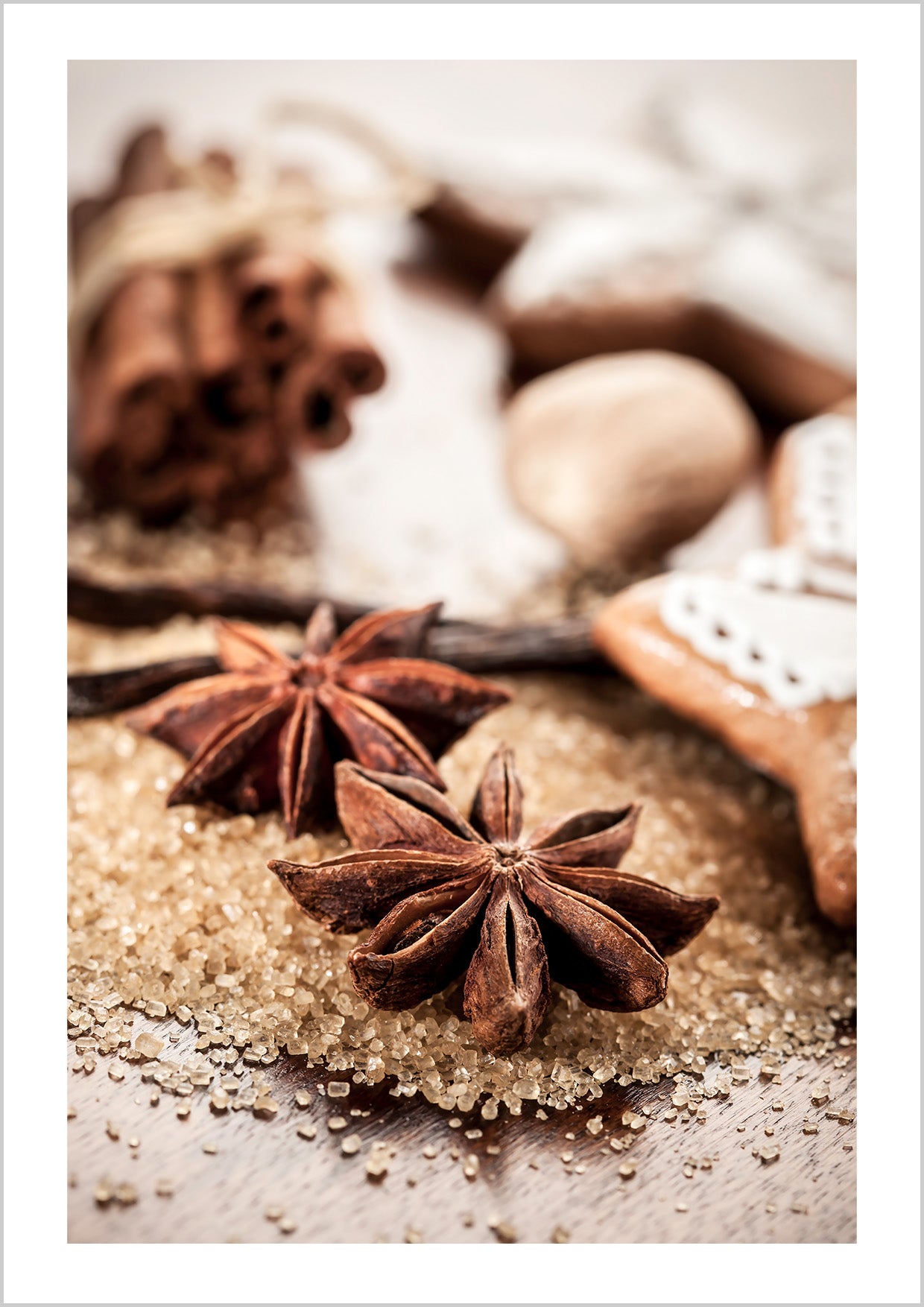 Anise & Cinnamon Poster