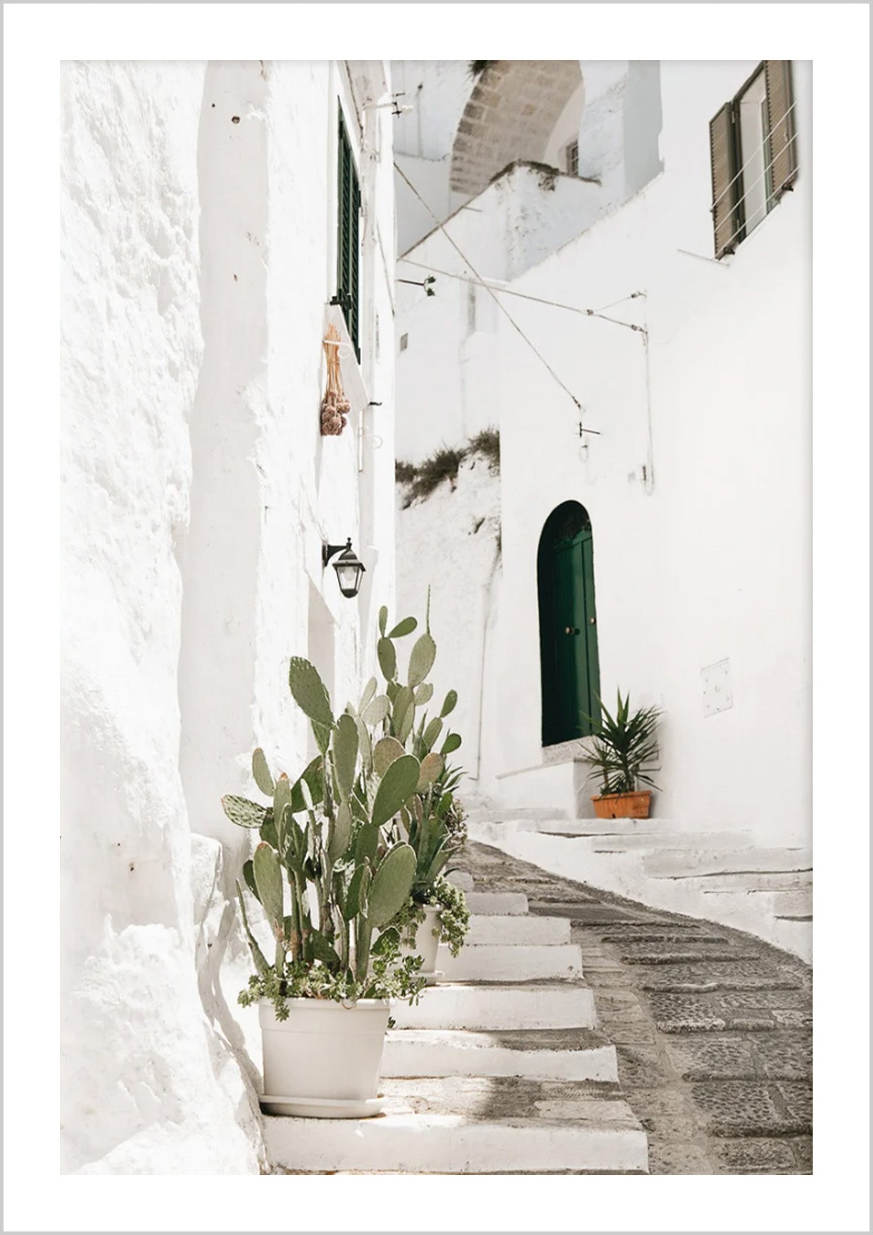 Puglia Cactus Poster