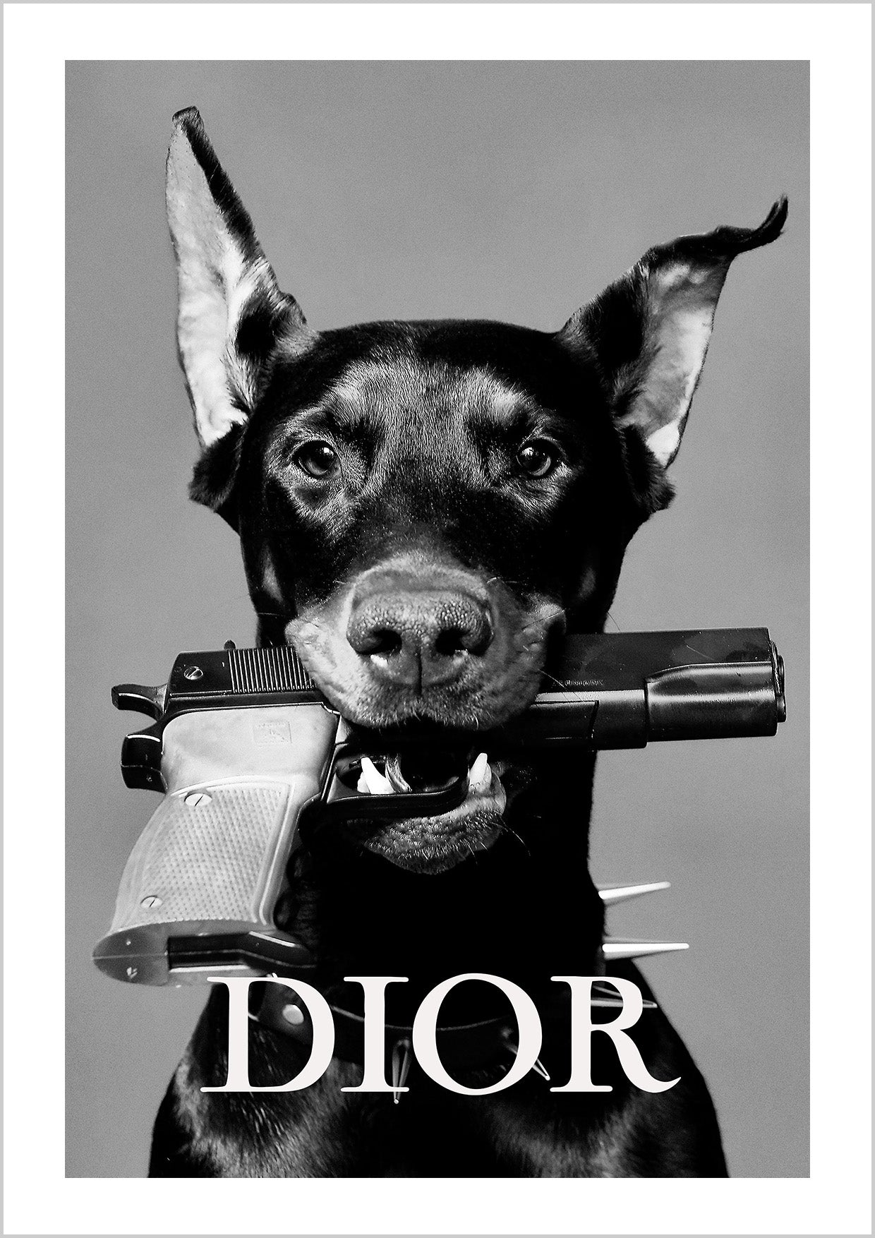 Dobermann Defense Poster