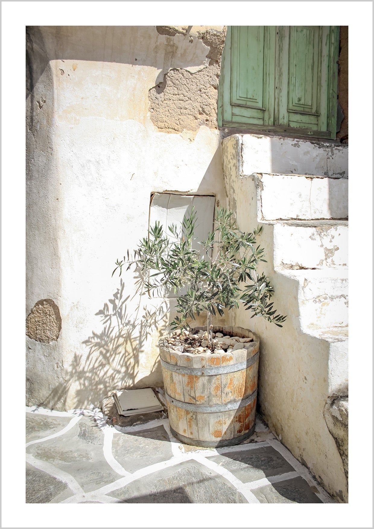 Olive Pot Poster
