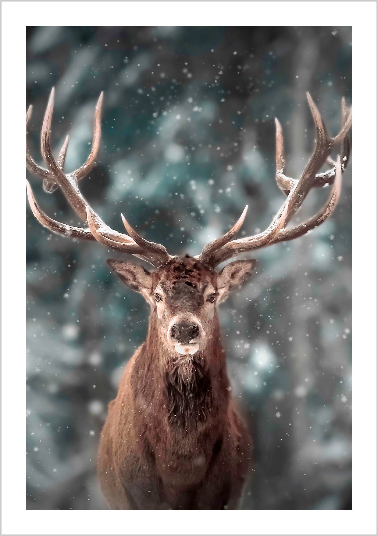Portrait of a Majestic Deer Poster