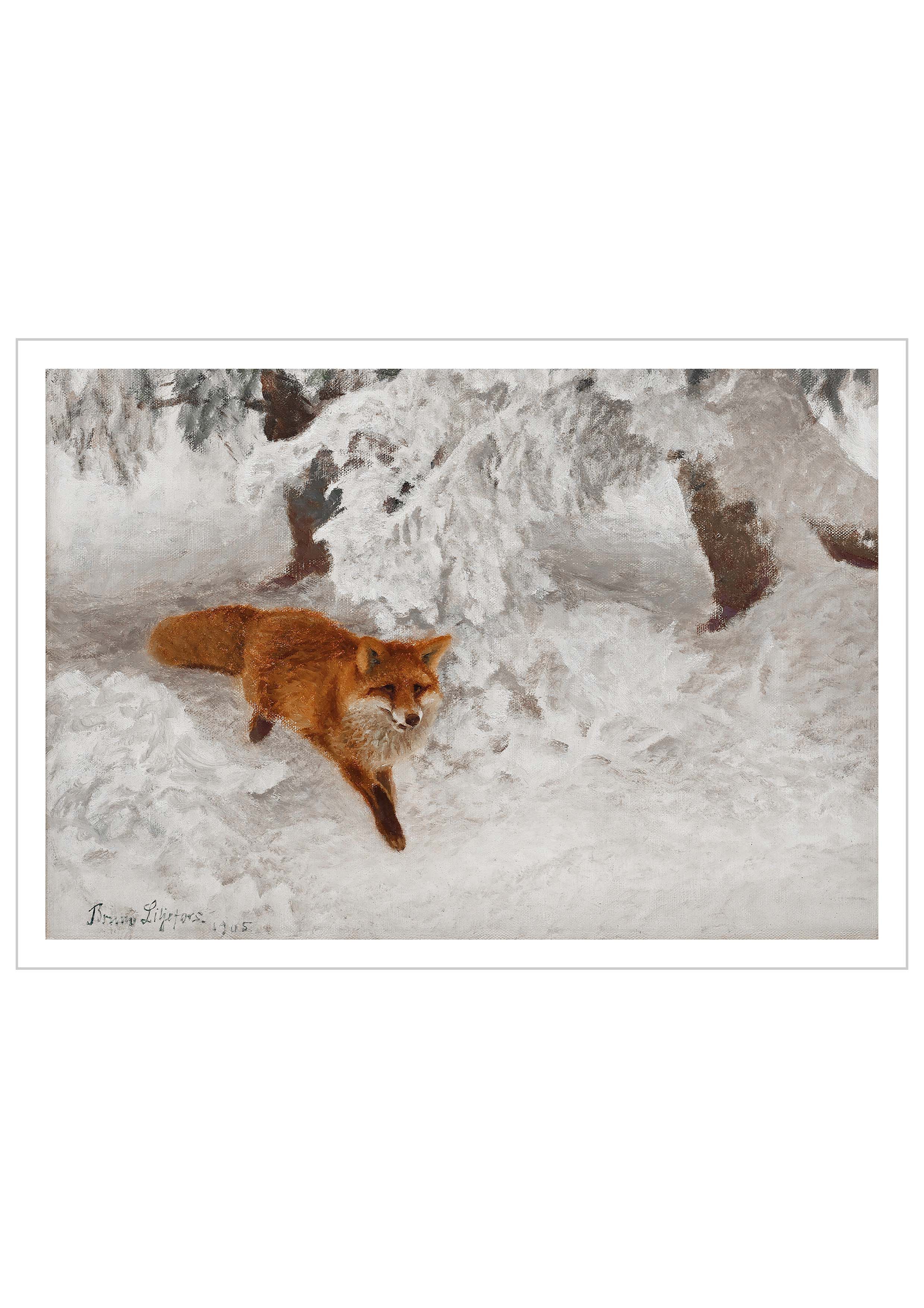 A vintage painting of "Red Fox" in winter landscape by the Swedish artist Bruno Liljefors.