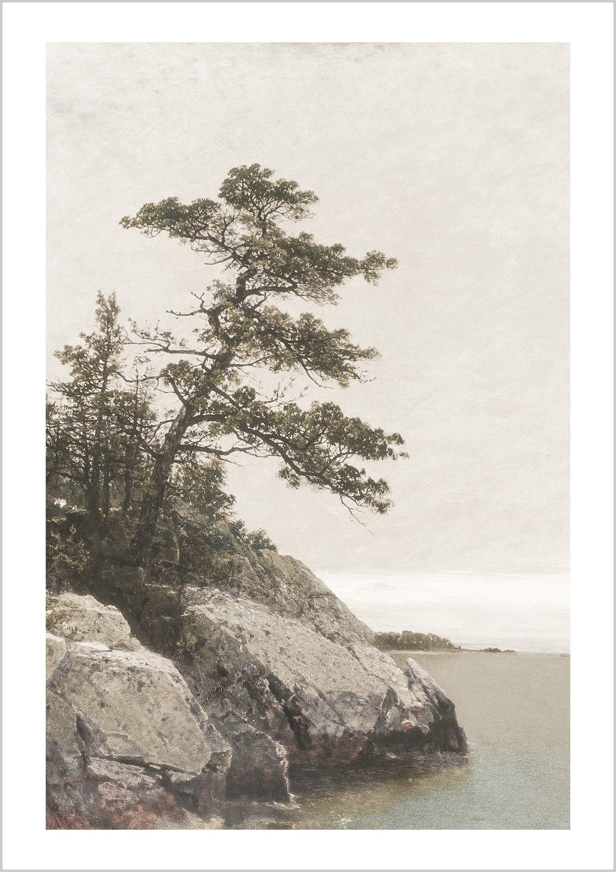 An 1872 painting presented as a giclee print, The Old Pine is a dramatic scene of a stately tree leaning over the rocky edge of a shore.