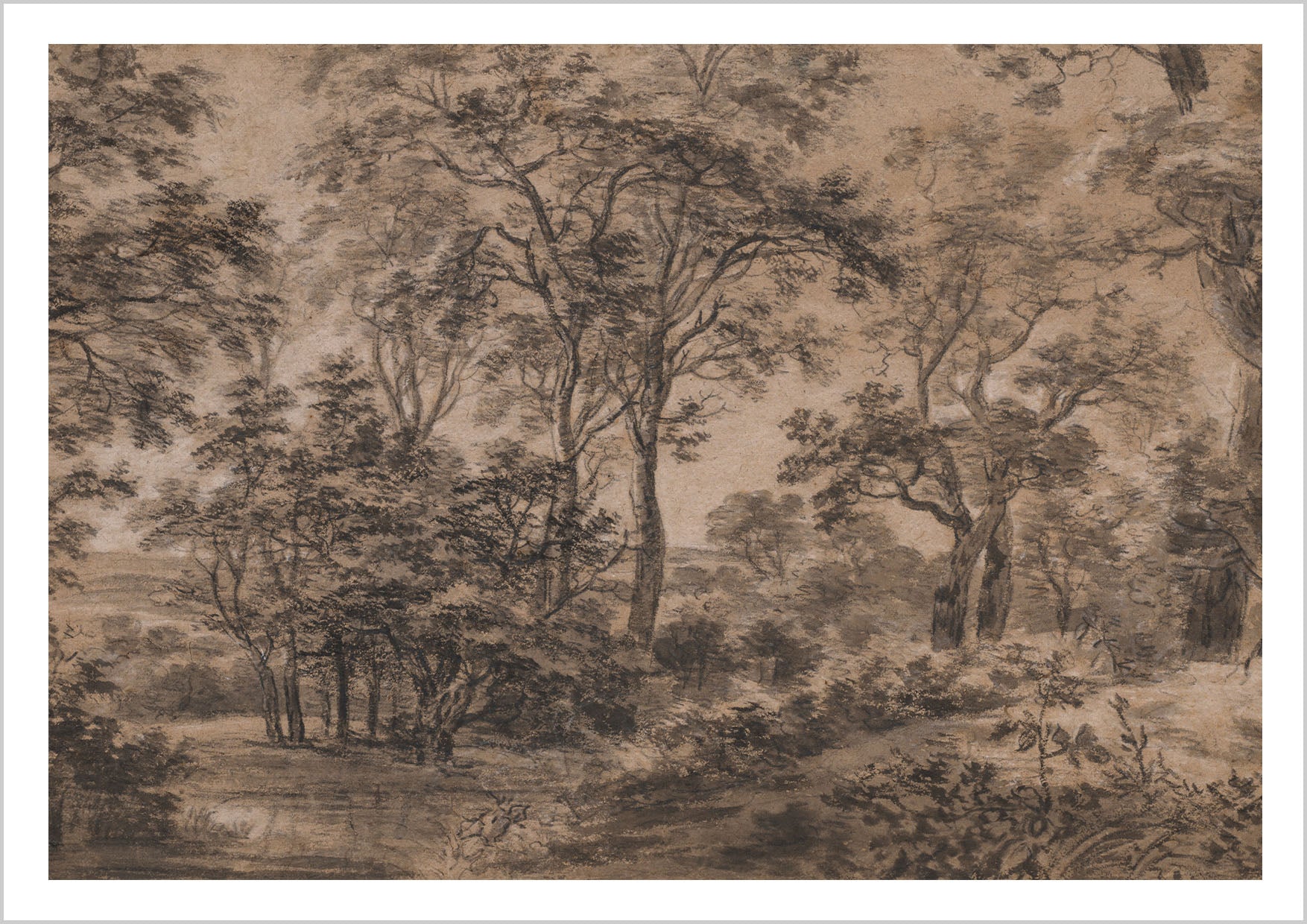 Rustic Wooded Landscape by Anthonie Waterloo, 17th century.
A sketch-style etching depicting a dense, tranquil forest with detailed trees and dappled light.