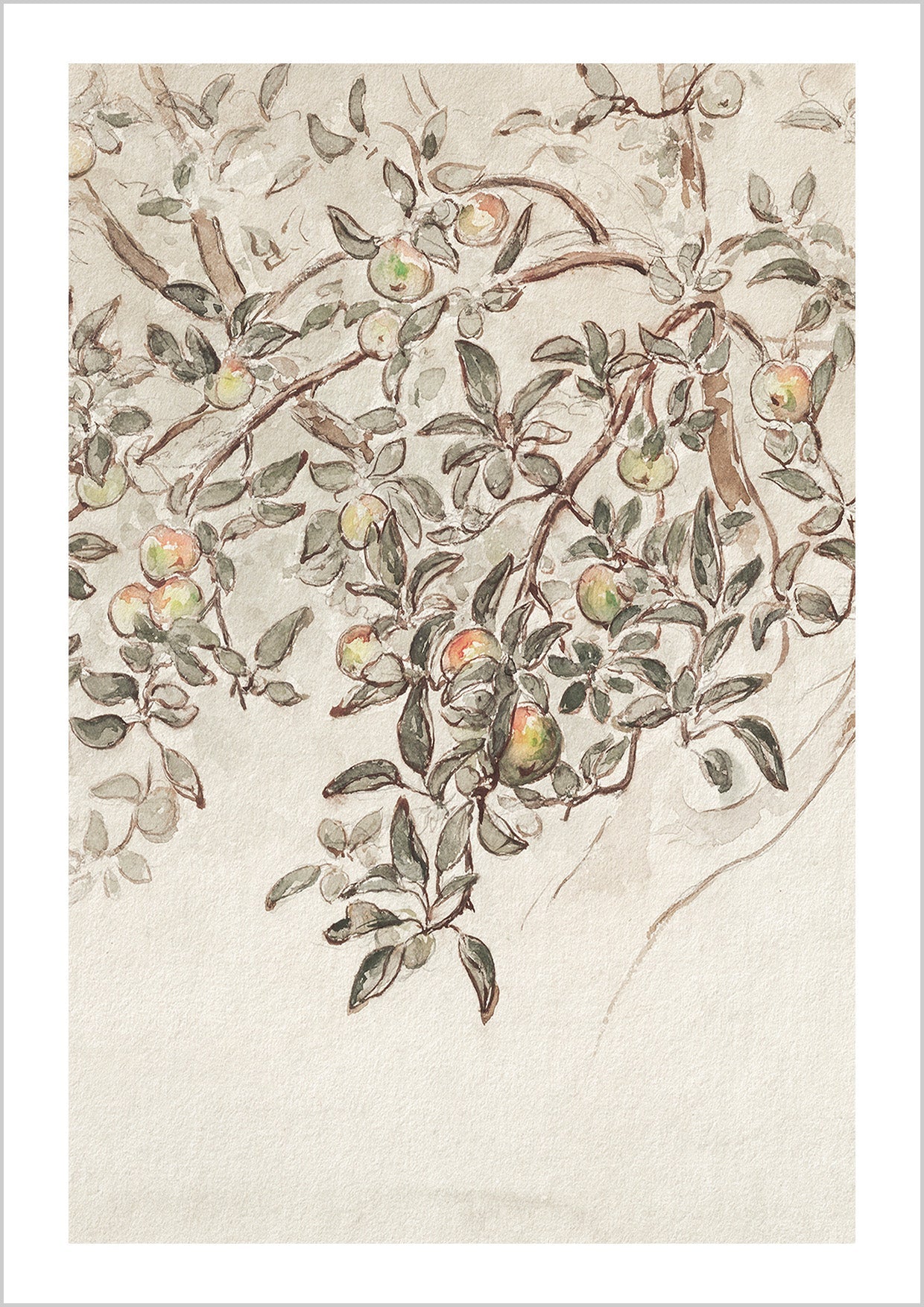 Vintage Apple Tree Print | Neutral Farmhouse