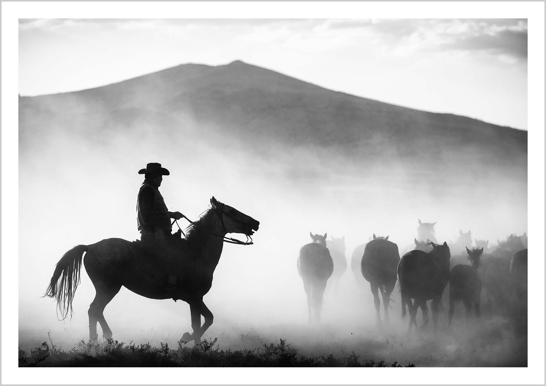 Silhouette of a rider on horseback amidst a herd in a dusty environment. – Arteve Gallery