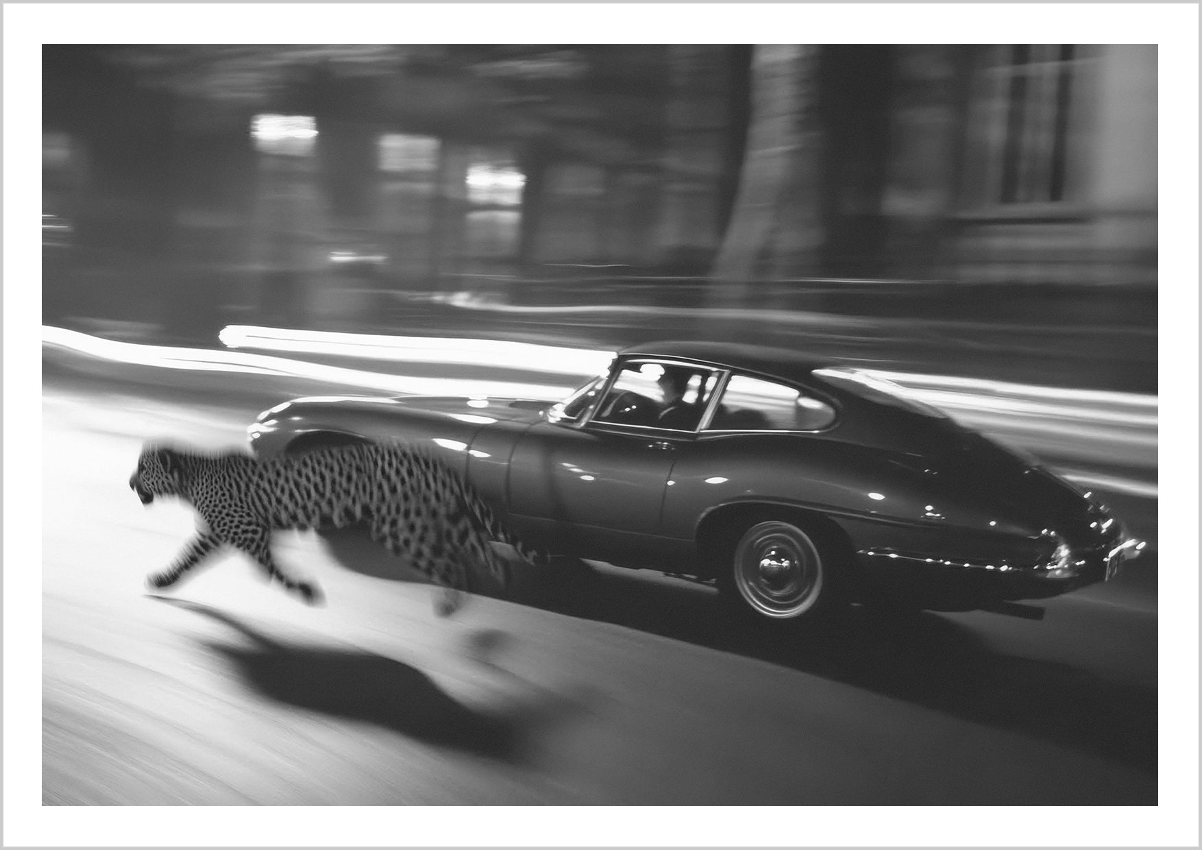 A blurred image of a vintage car speeding past a cheetah running alongside, set in a dark, urban environment. – Arteve Gallery