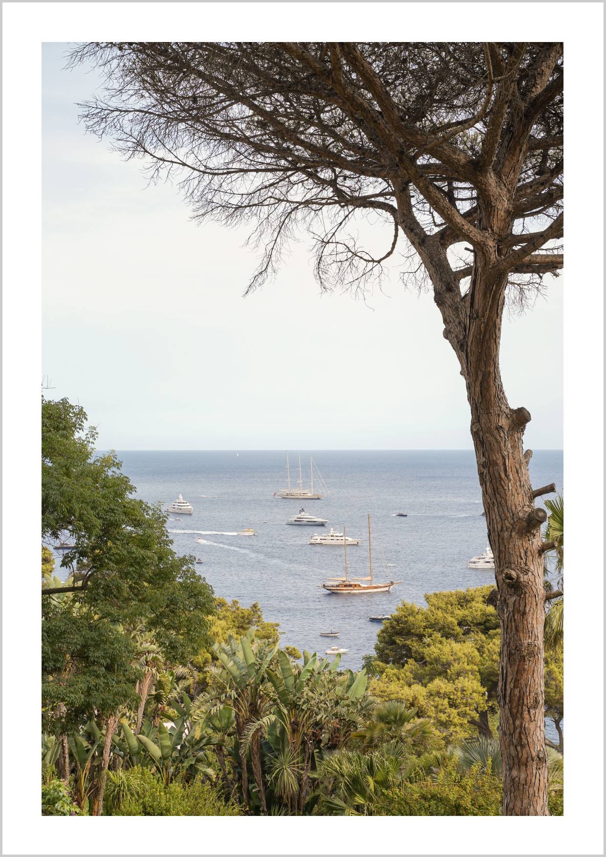 A coastal scene featuring boats on the water, framed by trees and lush greenery. – Arteve Gallery