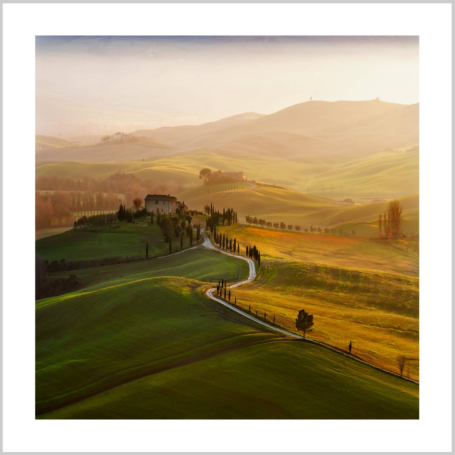 A scenic view of rolling hills in Tuscany with a winding road and cypress trees under a warm, golden light. – Arteve Gallery