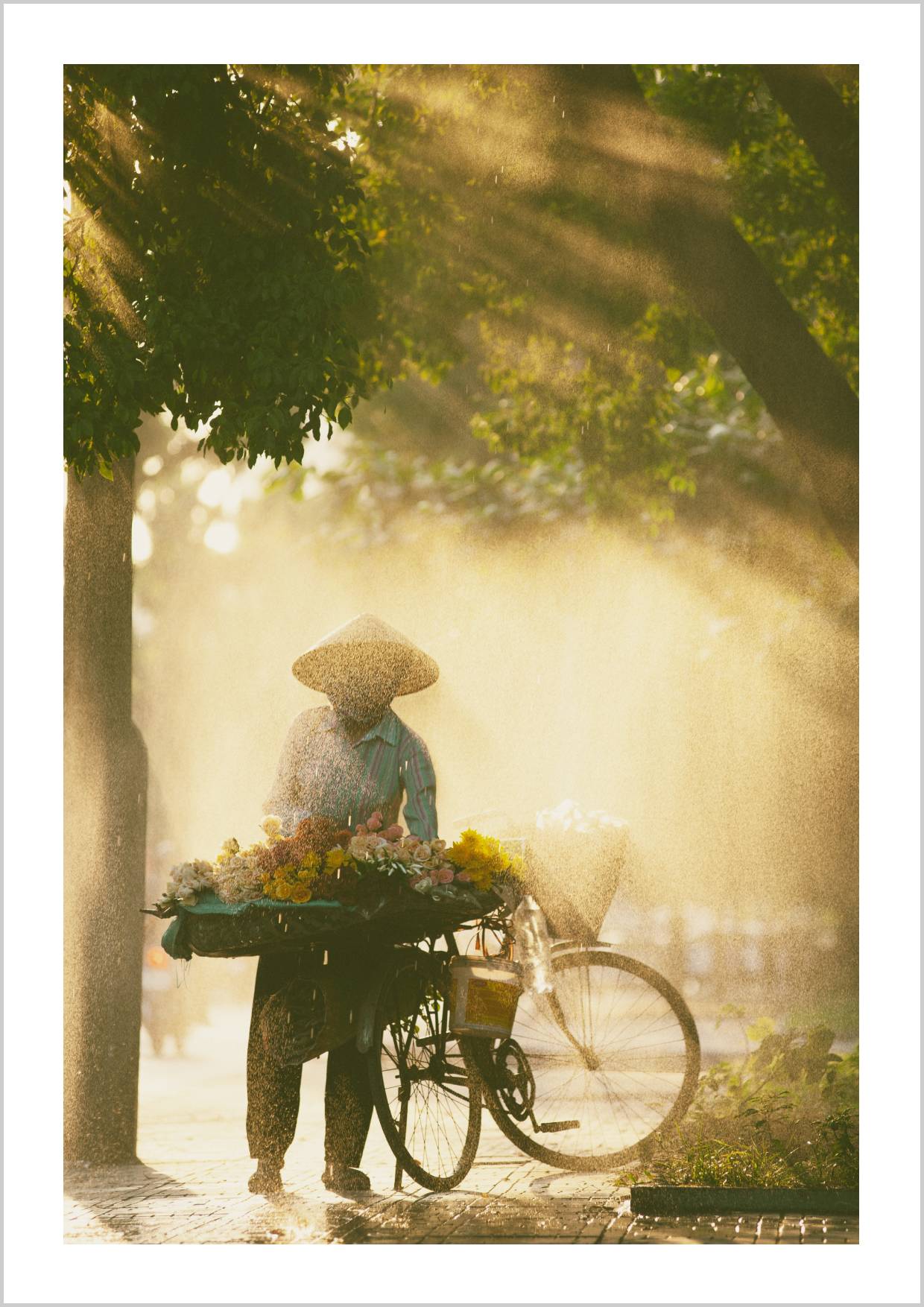 A flower vendor in a conical hat stands beside a bicycle laden with flowers, surrounded by soft sunlight and mist. – Arteve Gallery