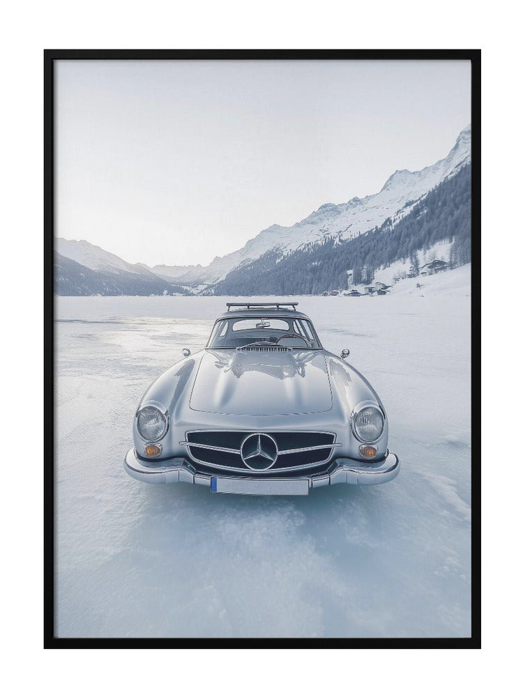 Frozen Elegance