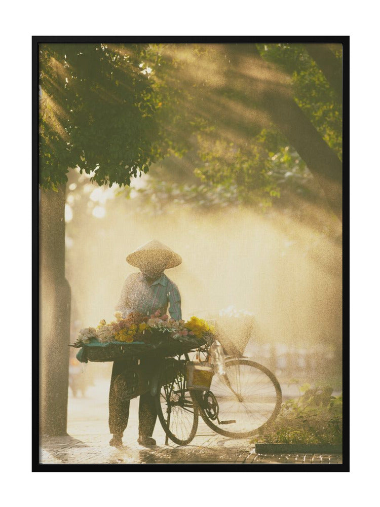 Morning Light Vendor