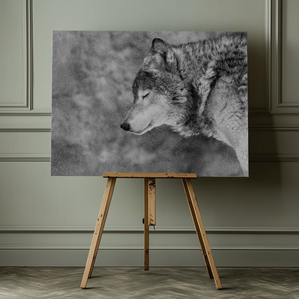 Silent Winter Whisper