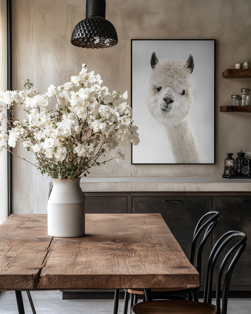 Soft Whispers Of Fur