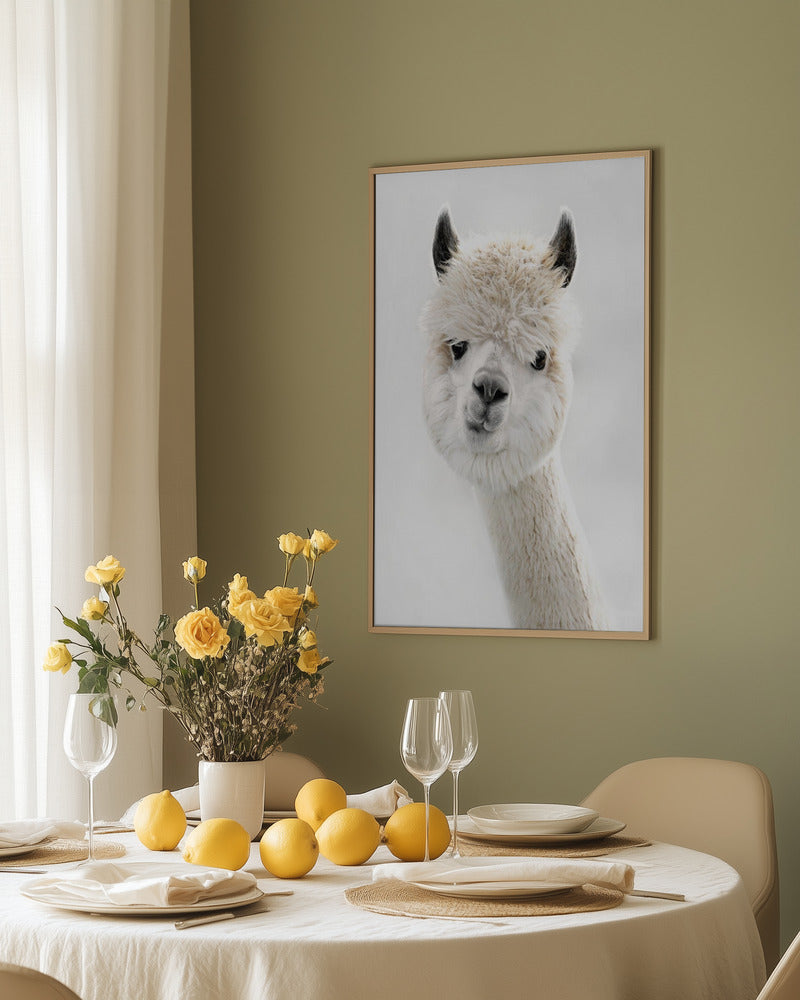 Soft Whispers Of Fur