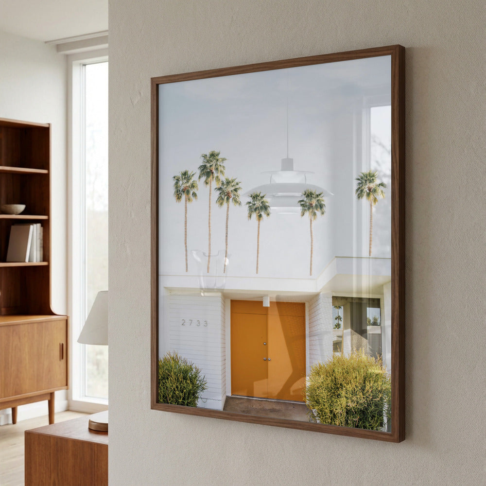 Palm Spring Orange Door