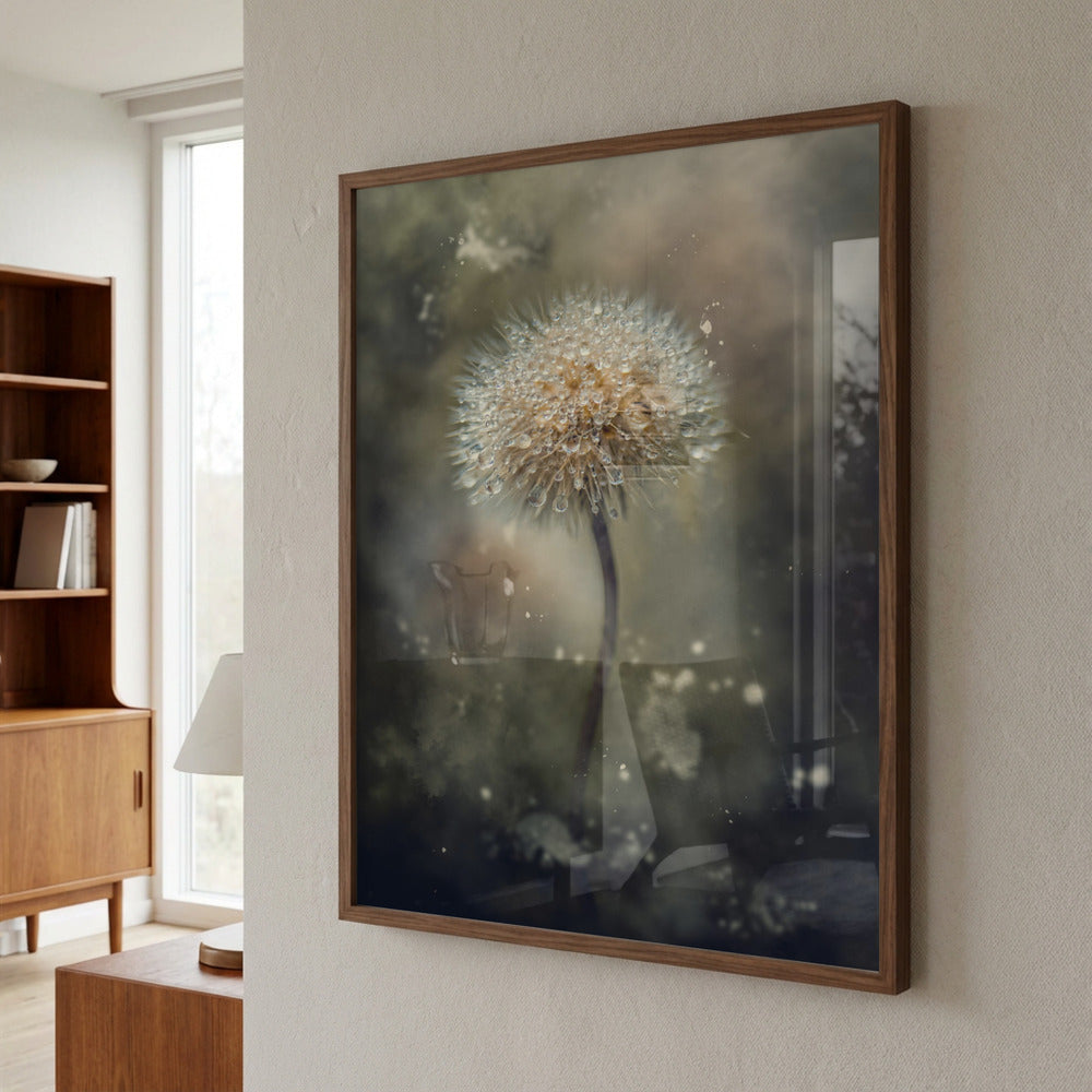 Morning Dandelion Light