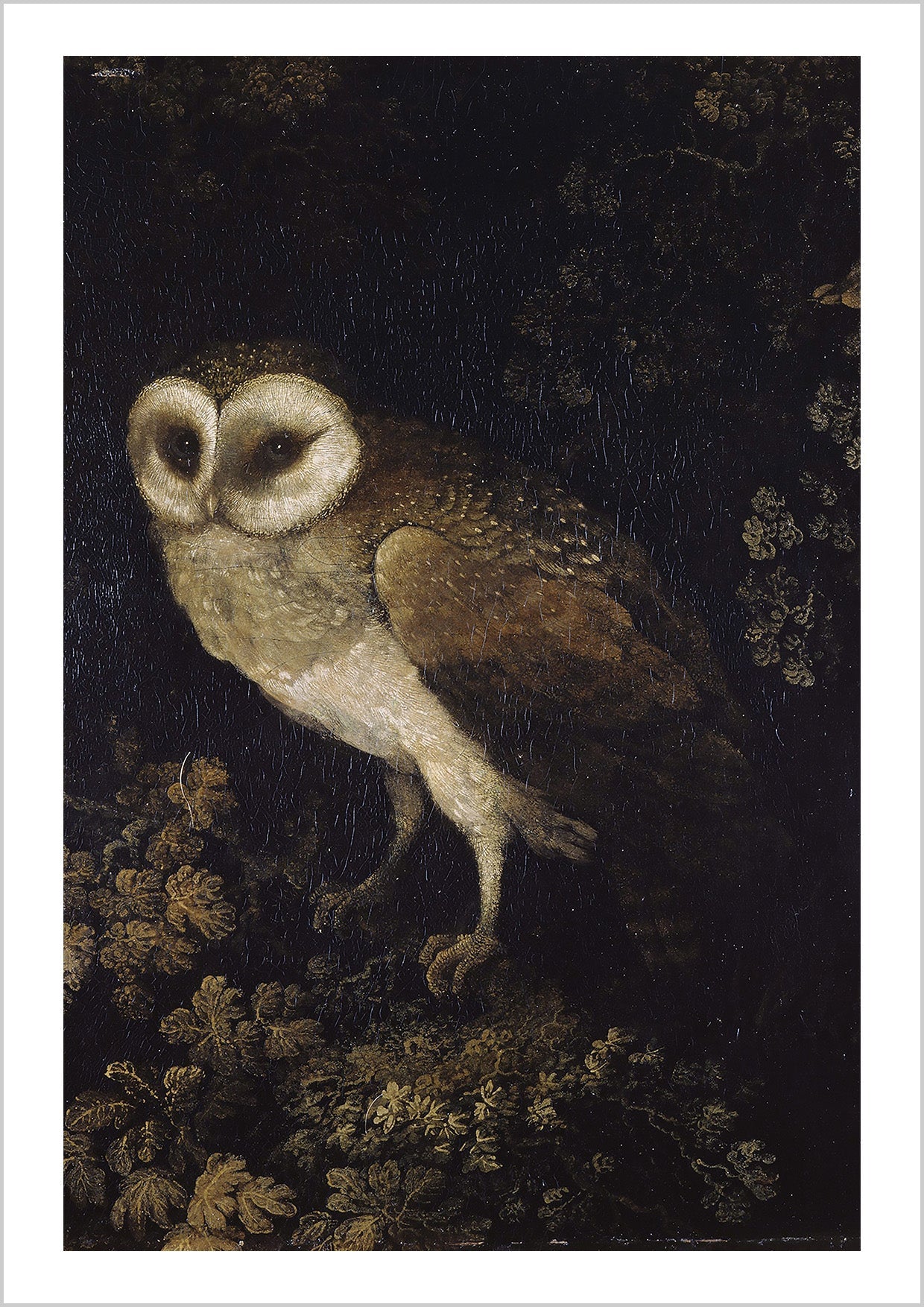 Vintage Painting An Owl between circa 1780 and circa 1790 by Moses Haughton the Elder