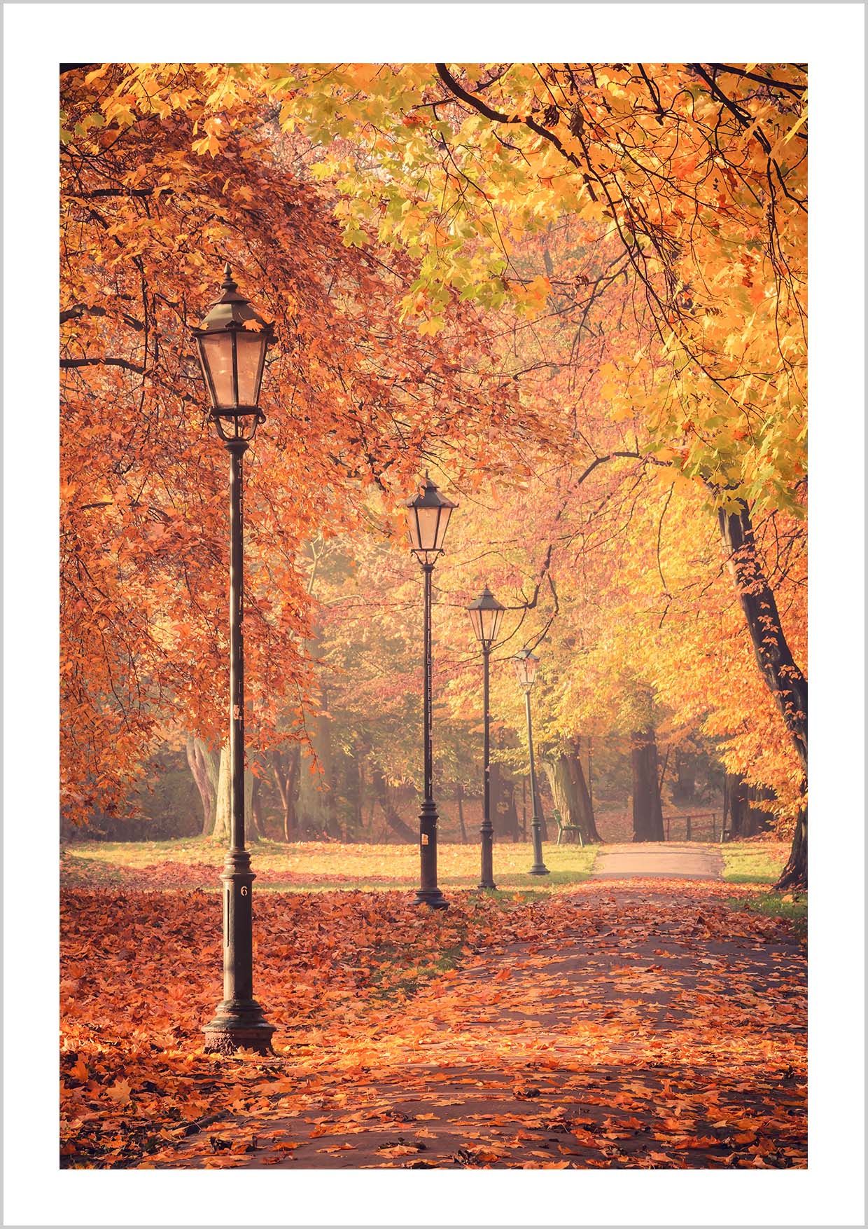 Photo print featuring a picturesque path blanketed in golden fall leaves. The traditional street lights and the old trees give character to the scene. This print truly captures the magic of fall. Hang it in your living room or hallway to bring the captivating beauty of fall into your everyday life.