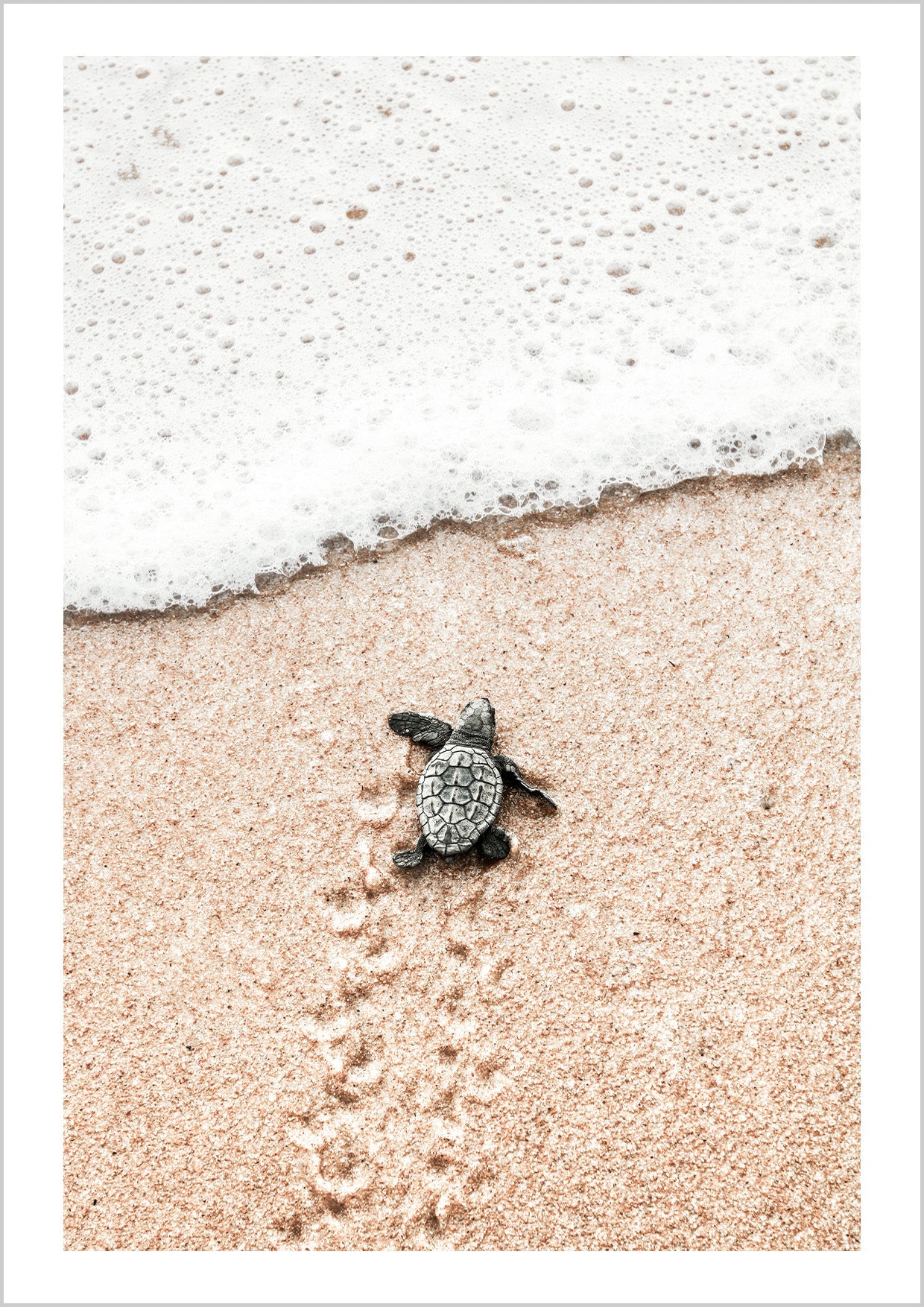 Photography of a baby sea turtle crawling on sand going towards the ocean