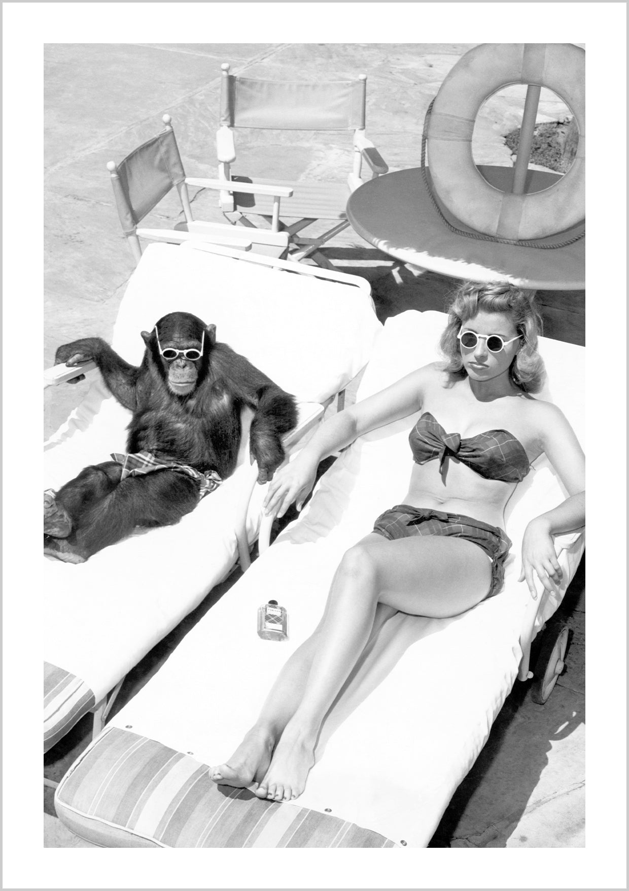 Chimpanzee-sunbathing-with-a-woman