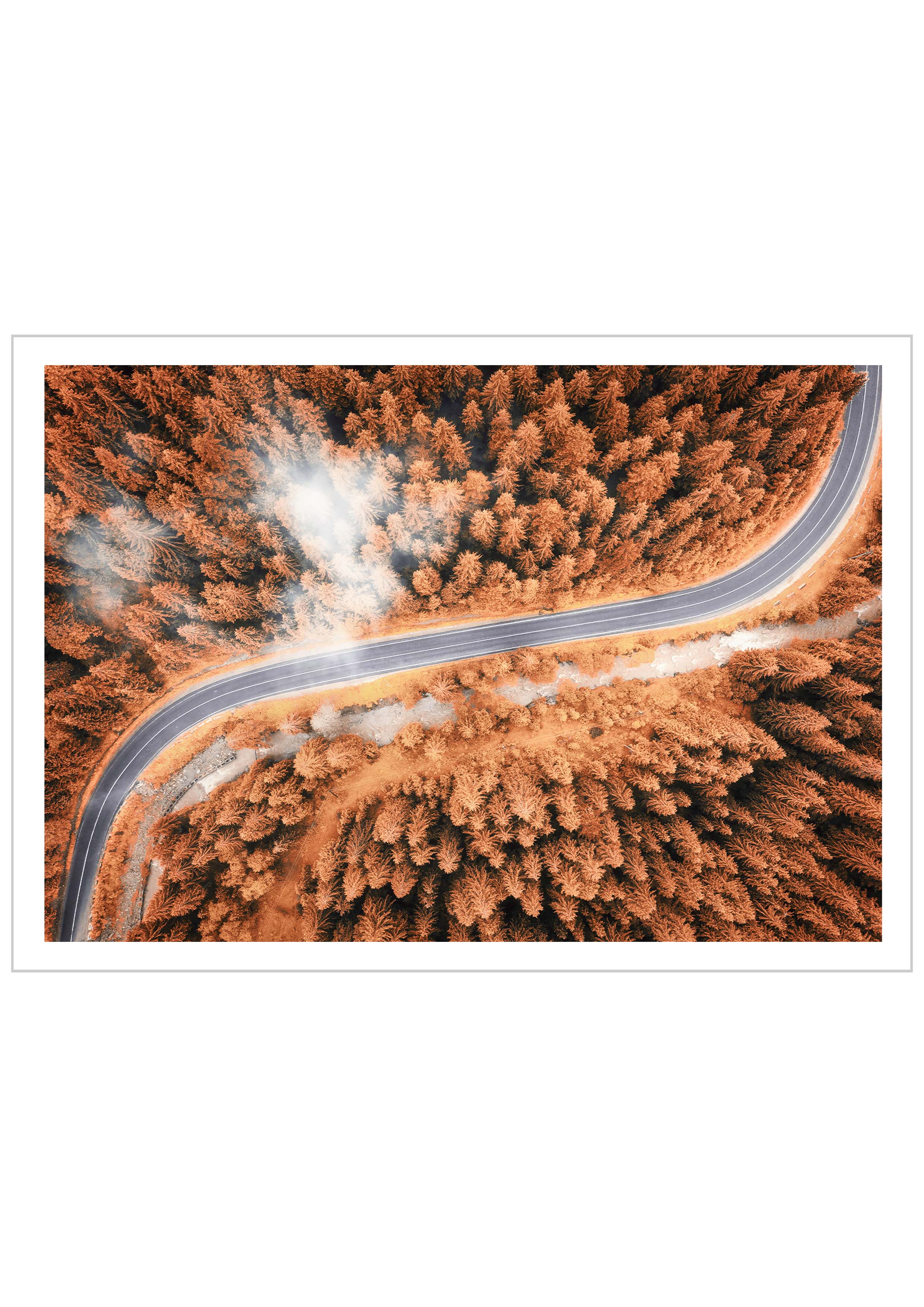 Aerial photography View Of A Pine Forest Road in Autumn