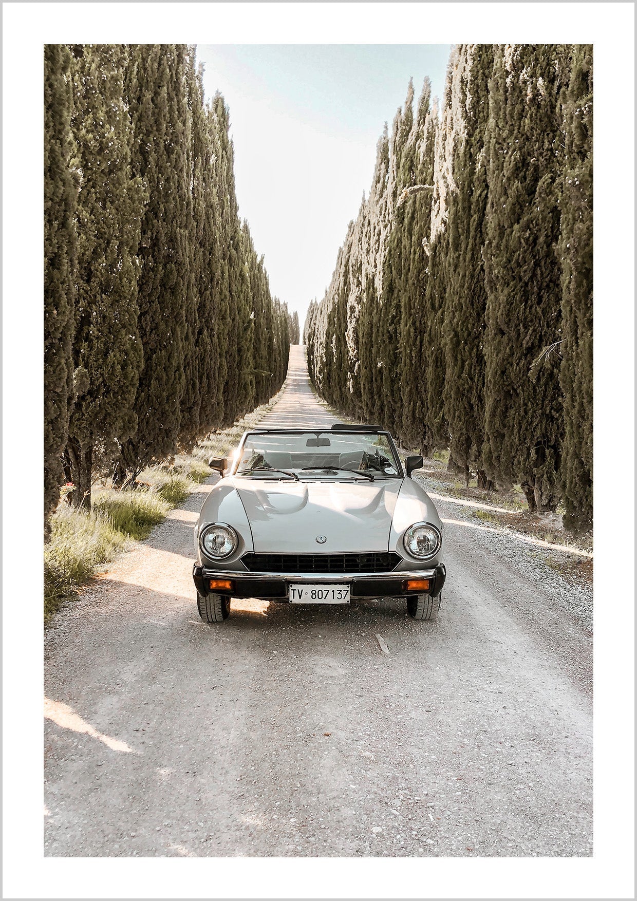 Photography of iconic Italian car Fiat Sport Spider driving on a Cypress trees road.