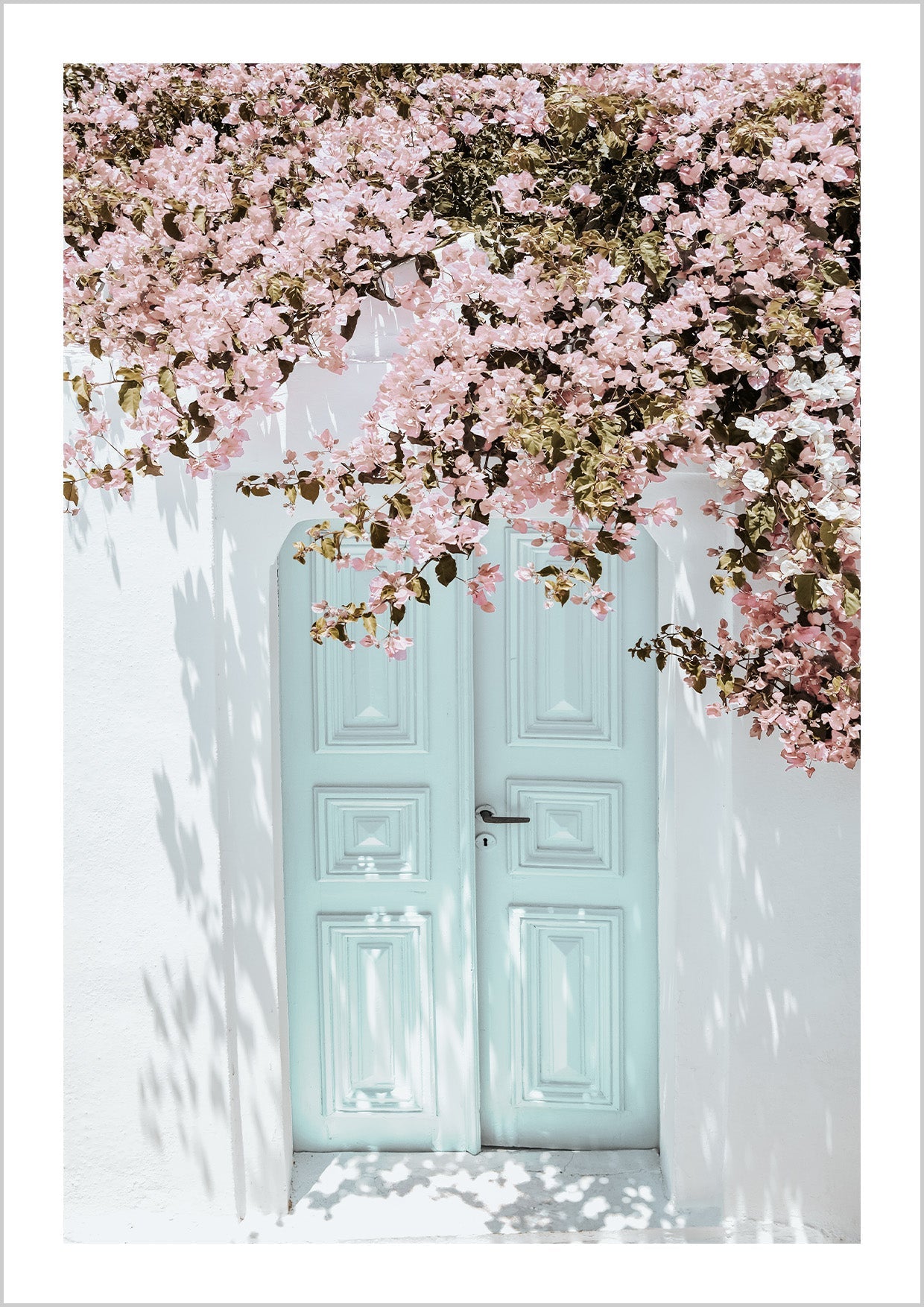 Photography of a turquoise door and blooming, vibrant pink flowers on the Greek island of Santorini.