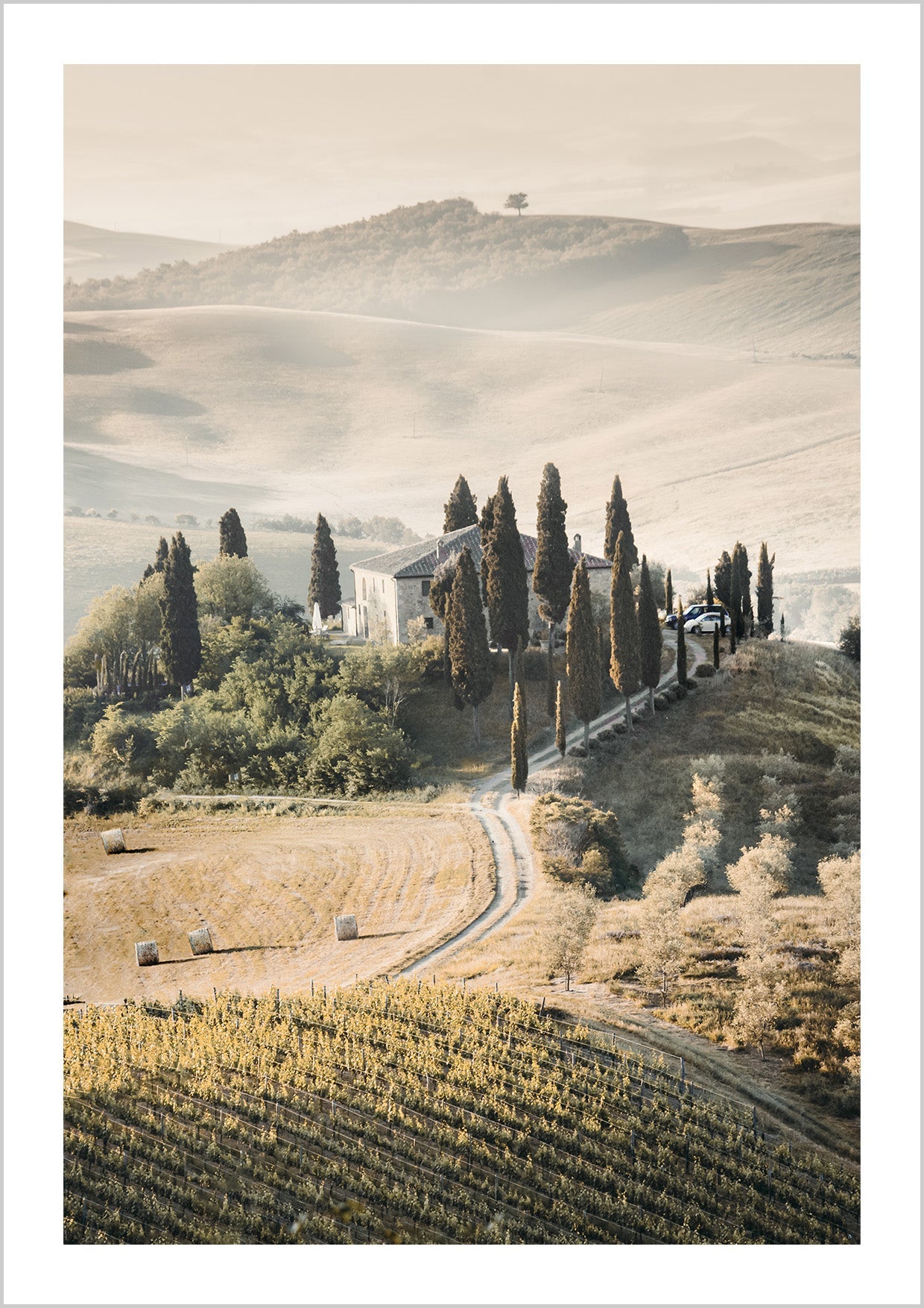Photograph of the landscape of the Tuscany Hills with a foggy mountain sky. Create a gallery wall with nature Posters of landscapes. This art Poster has a grainy photo structure
