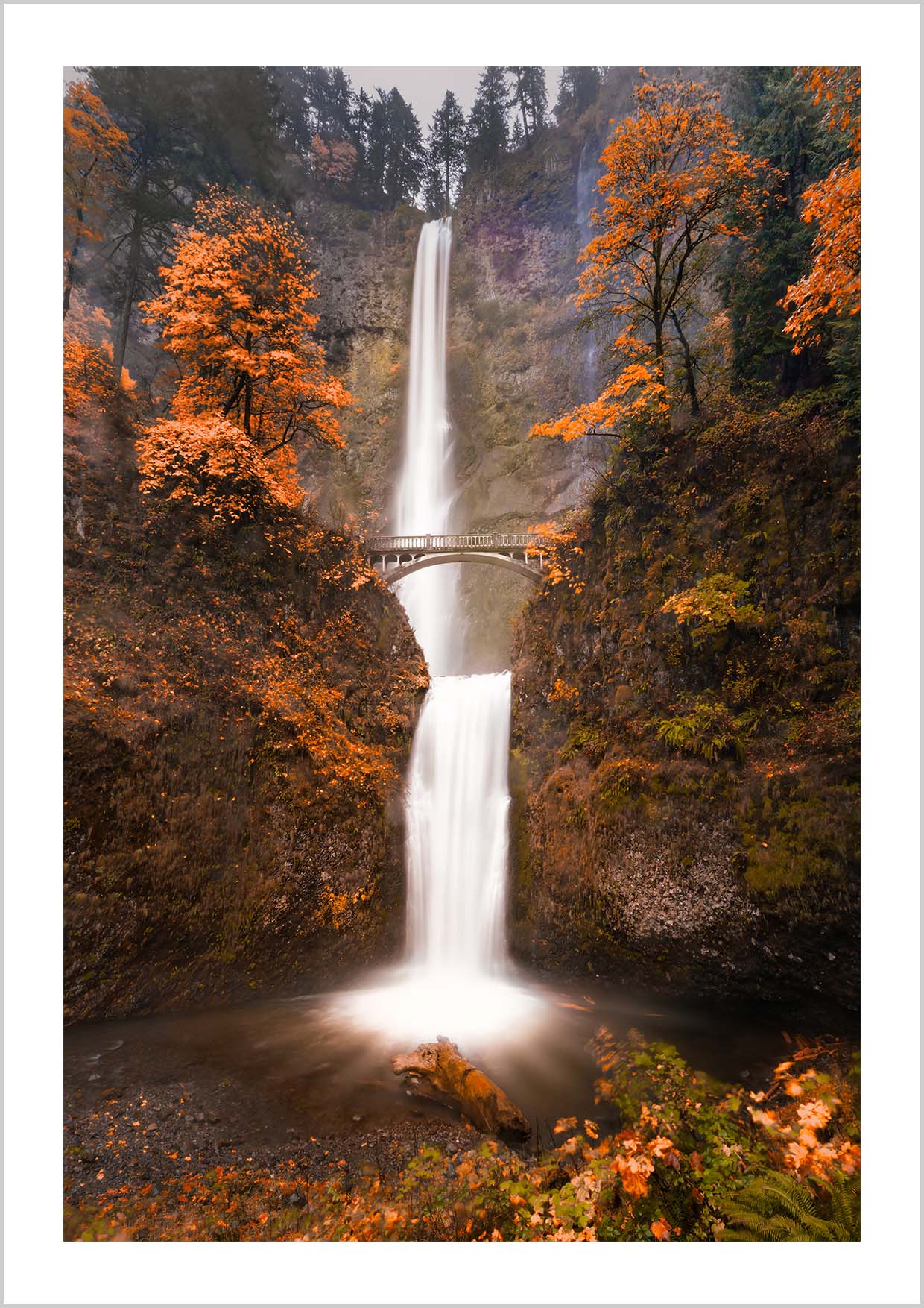 Photography of the Multnomah Falls in Autumn