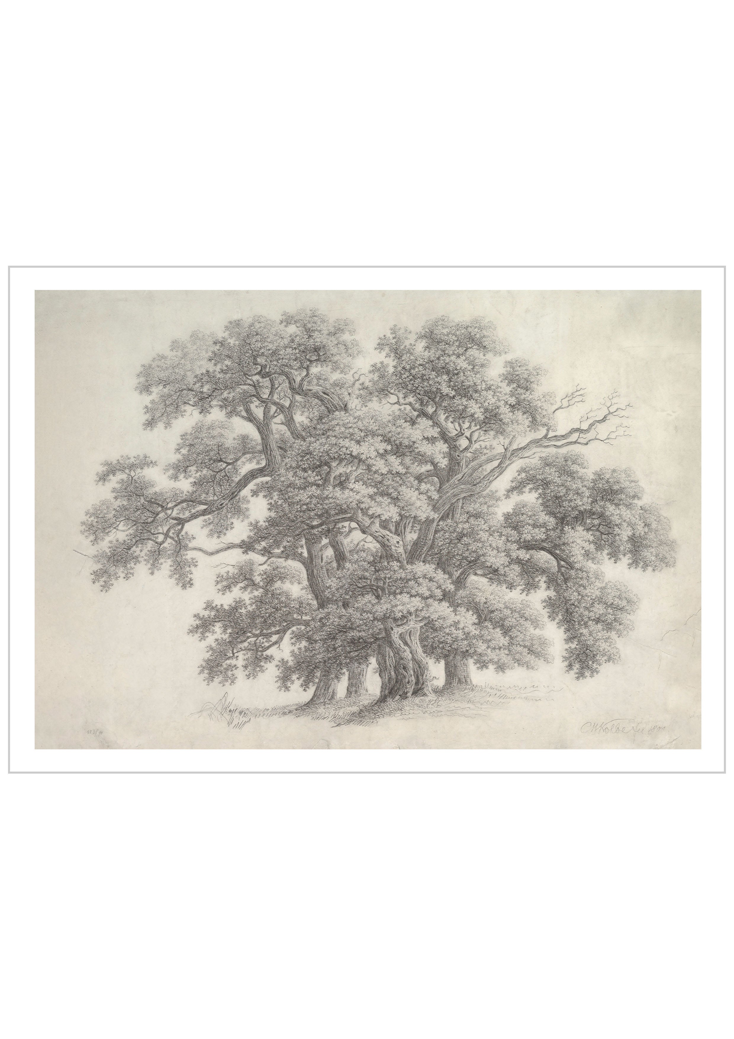 Study of Oak Trees was created by the German artist Carl Wilhelm Kolbe