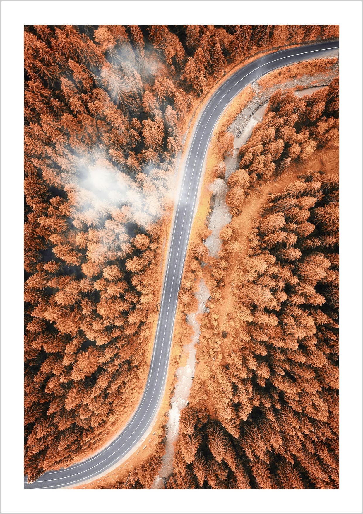 Aerial photography View Of A Pine Forest Road in Autumn