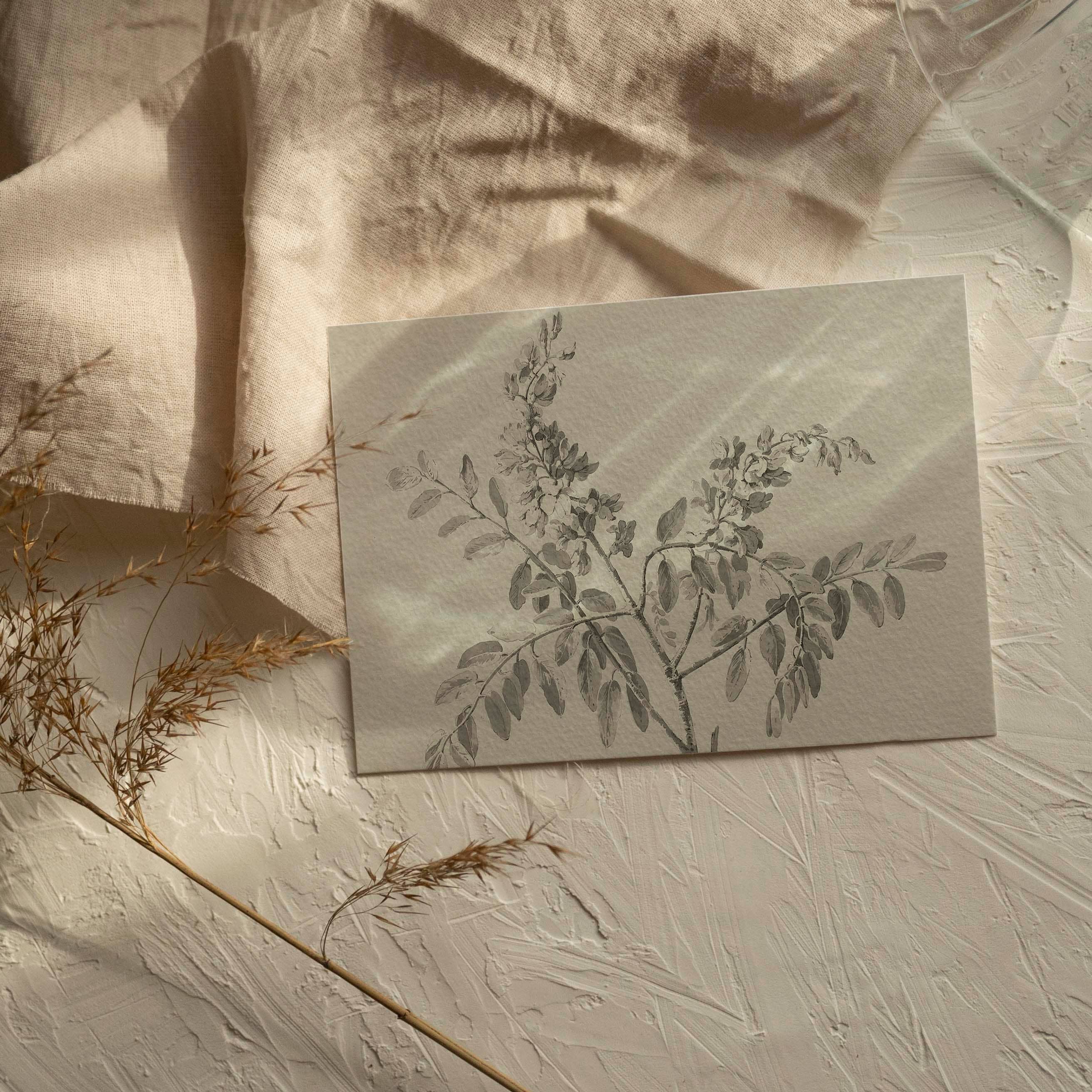 Simple-botanical-sketch-print