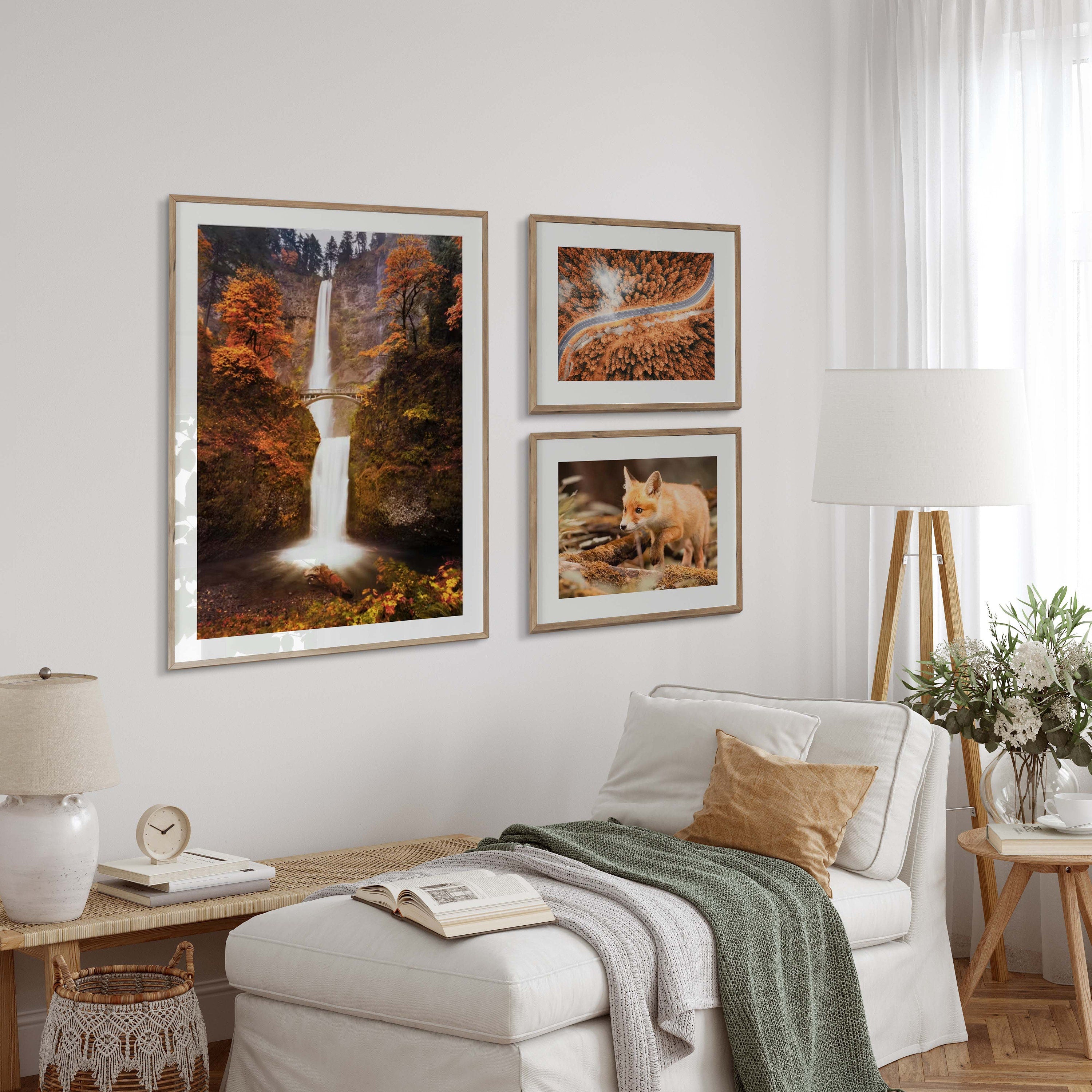 Photo Poster of a curious fox cub in the autumn forest