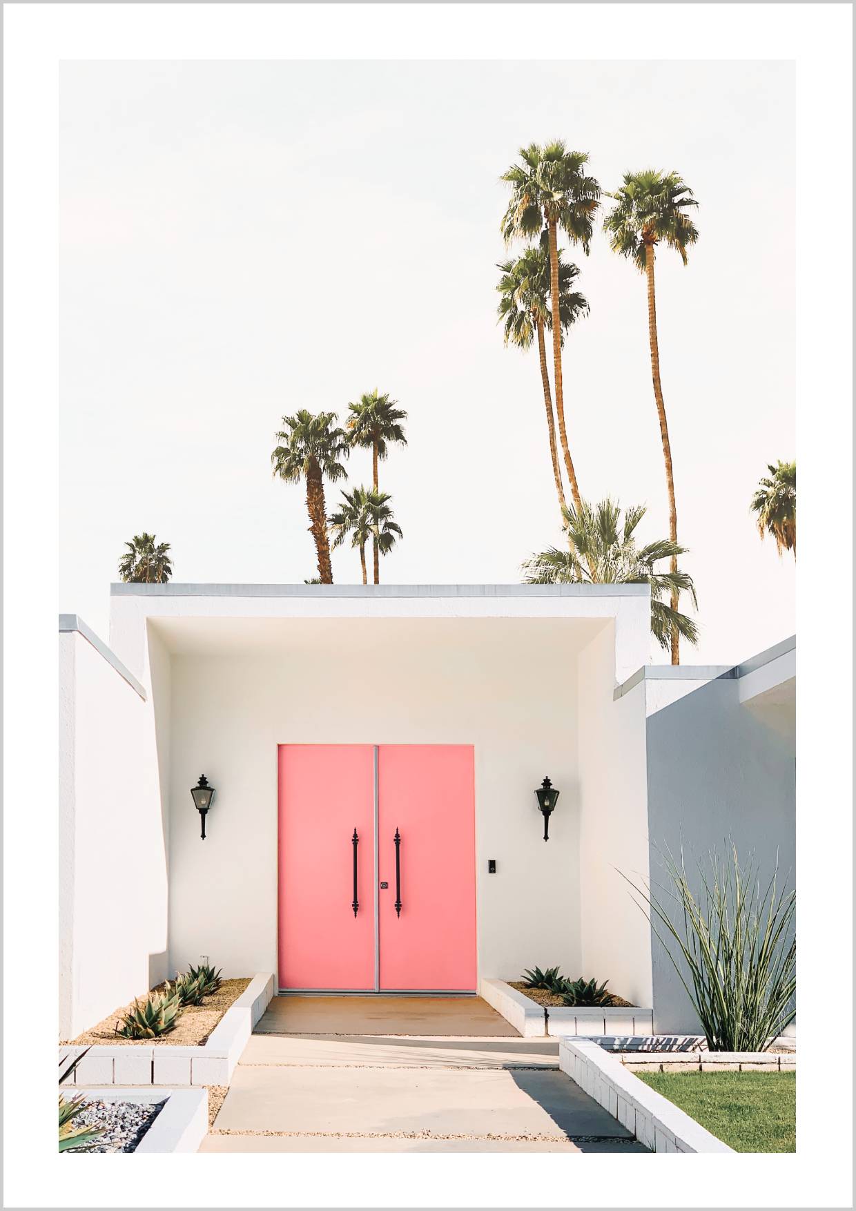 Palm Spring Pink Door