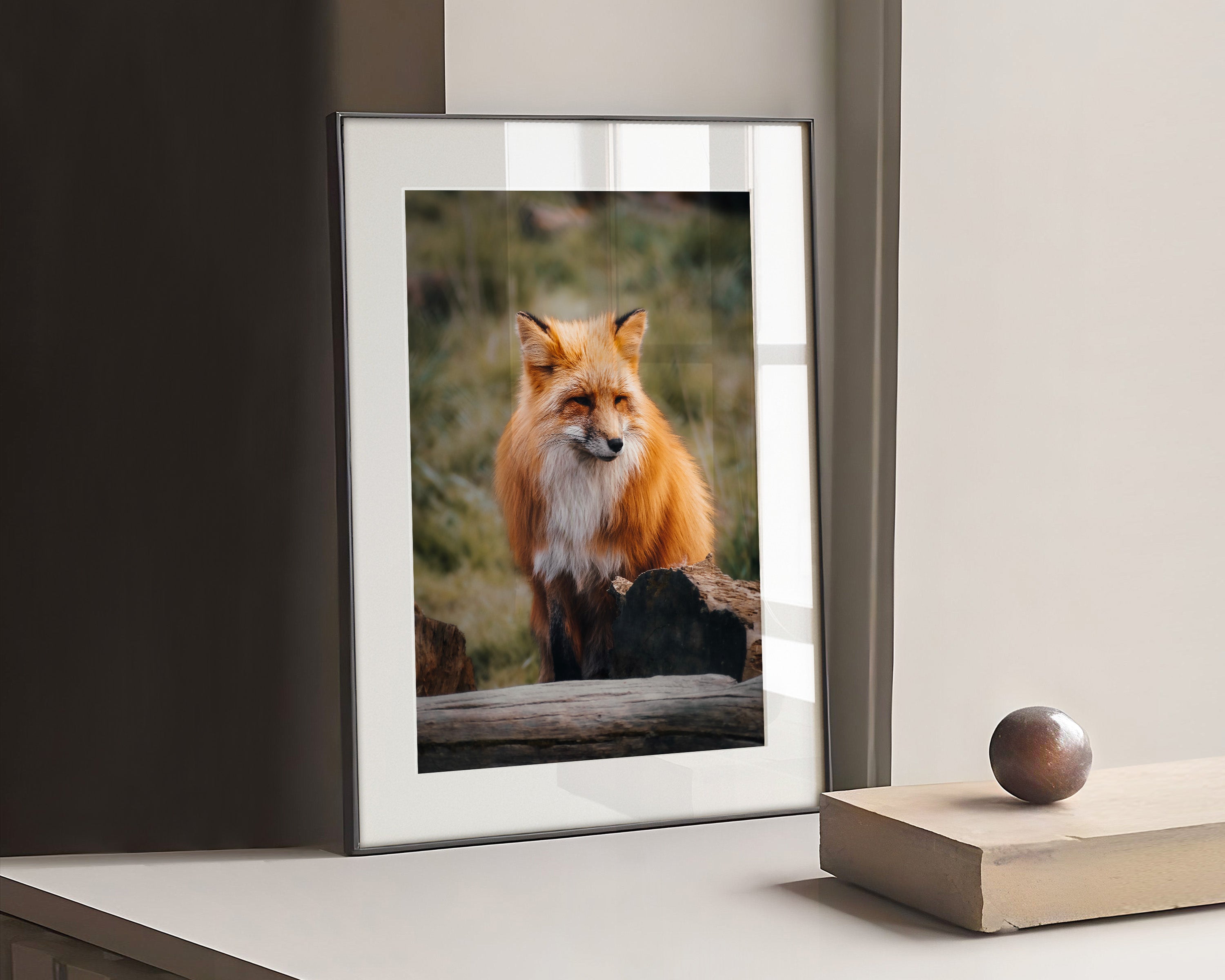 Photography Poster of a red fox in a forest.