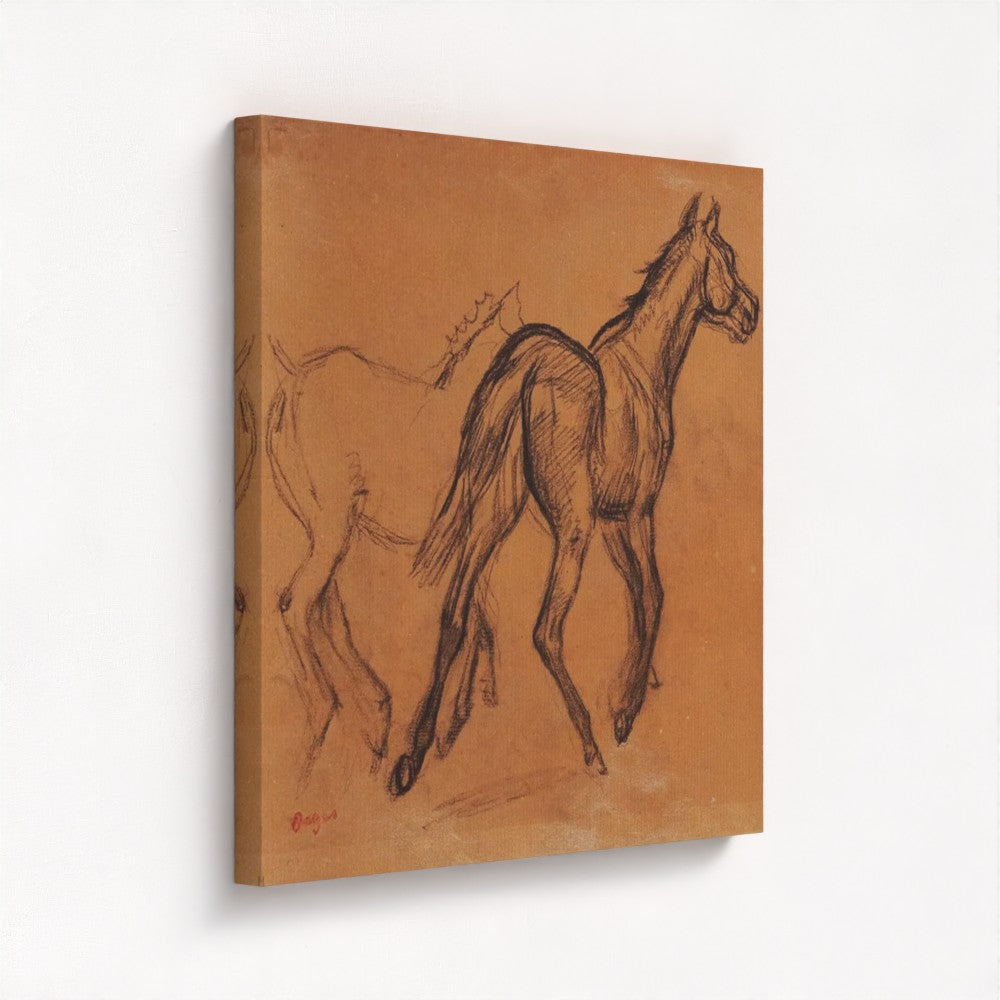 Horse Study Edgar Degas