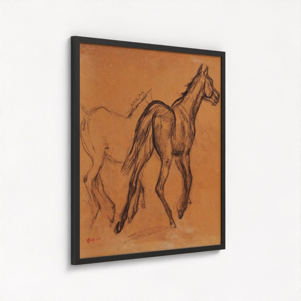 Horse Study Edgar Degas