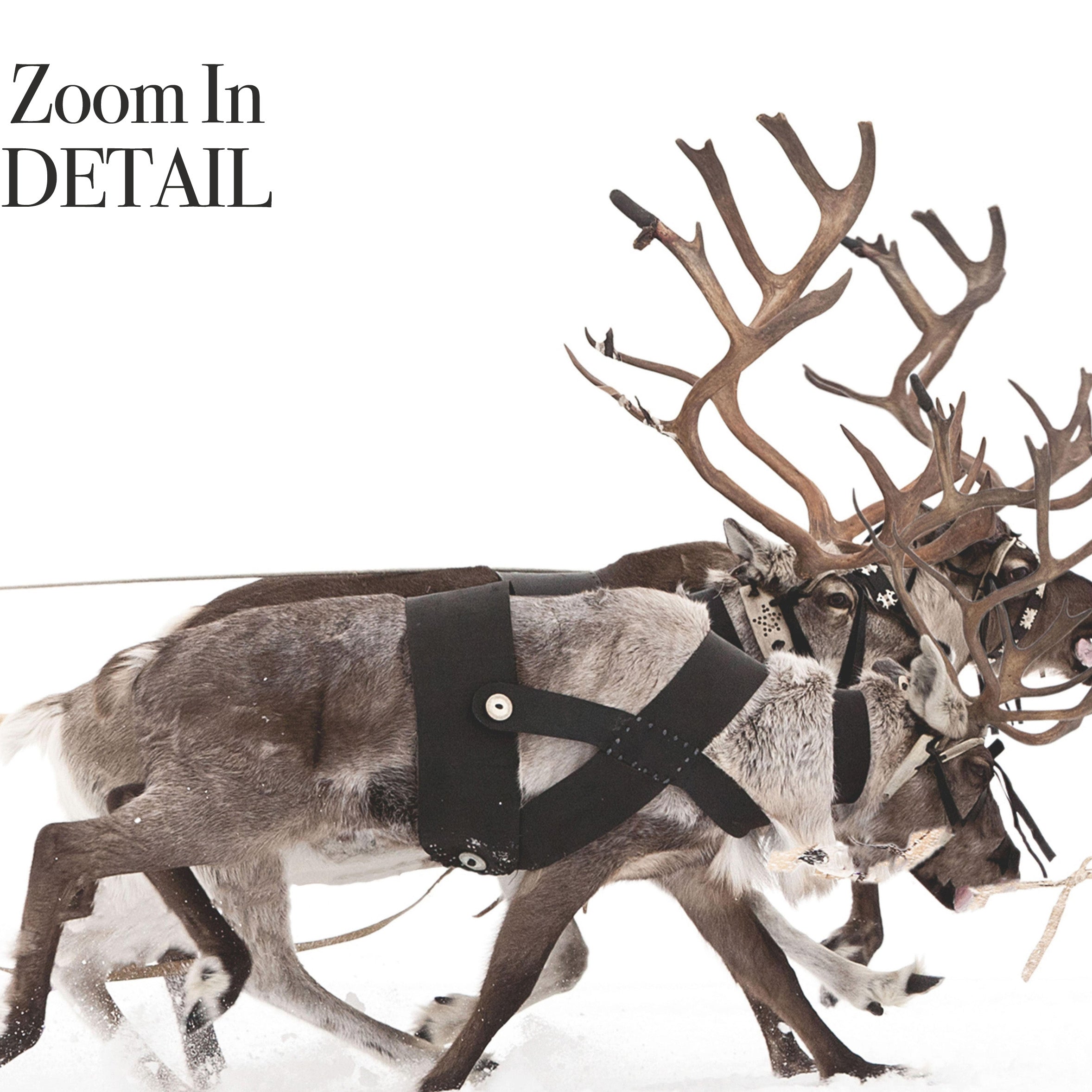 Affiche du traîneau du Père Noël et des rennes