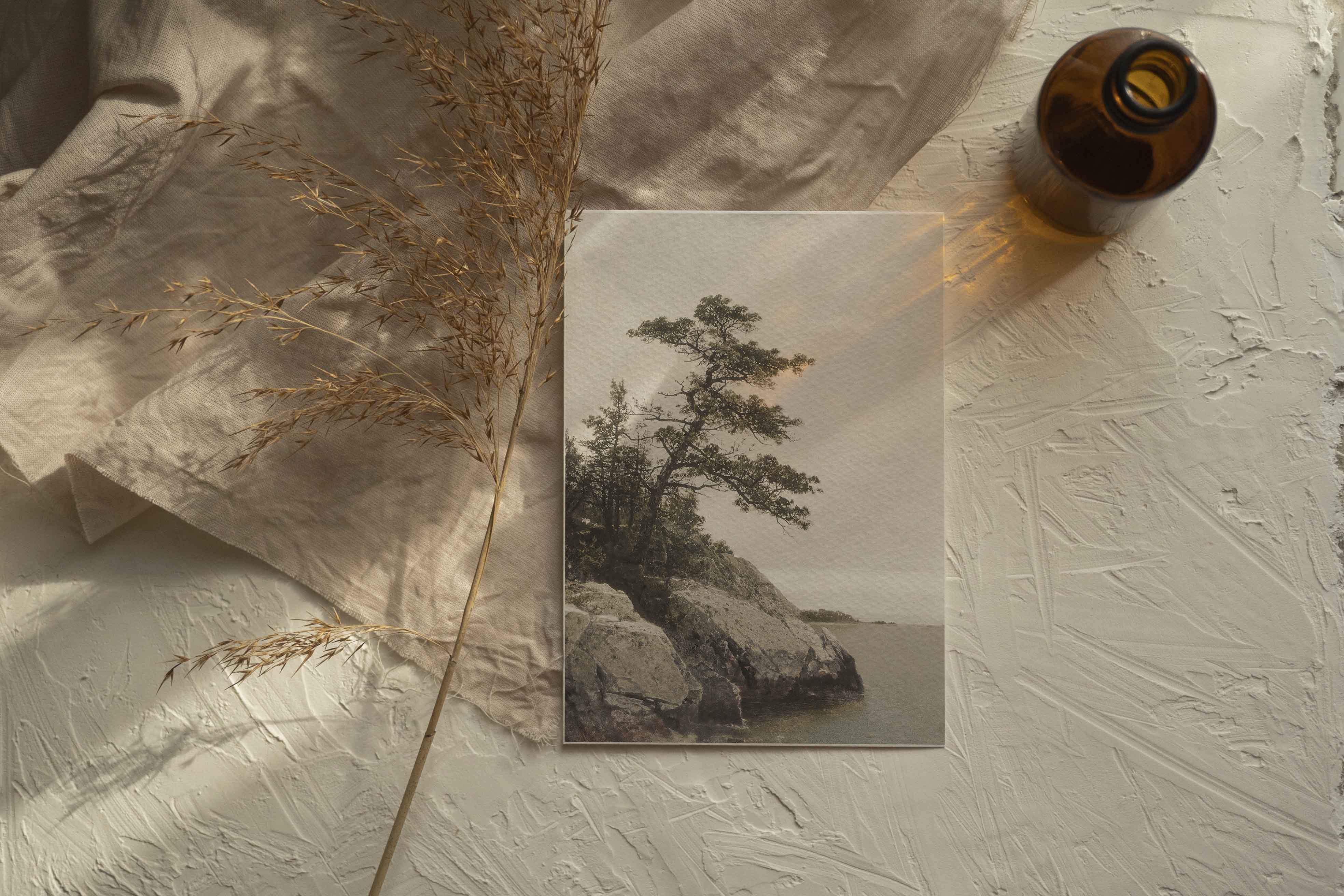 An 1872 painting presented as a giclee print, The Old Pine is a dramatic scene of a stately tree leaning over the rocky edge of a shore.