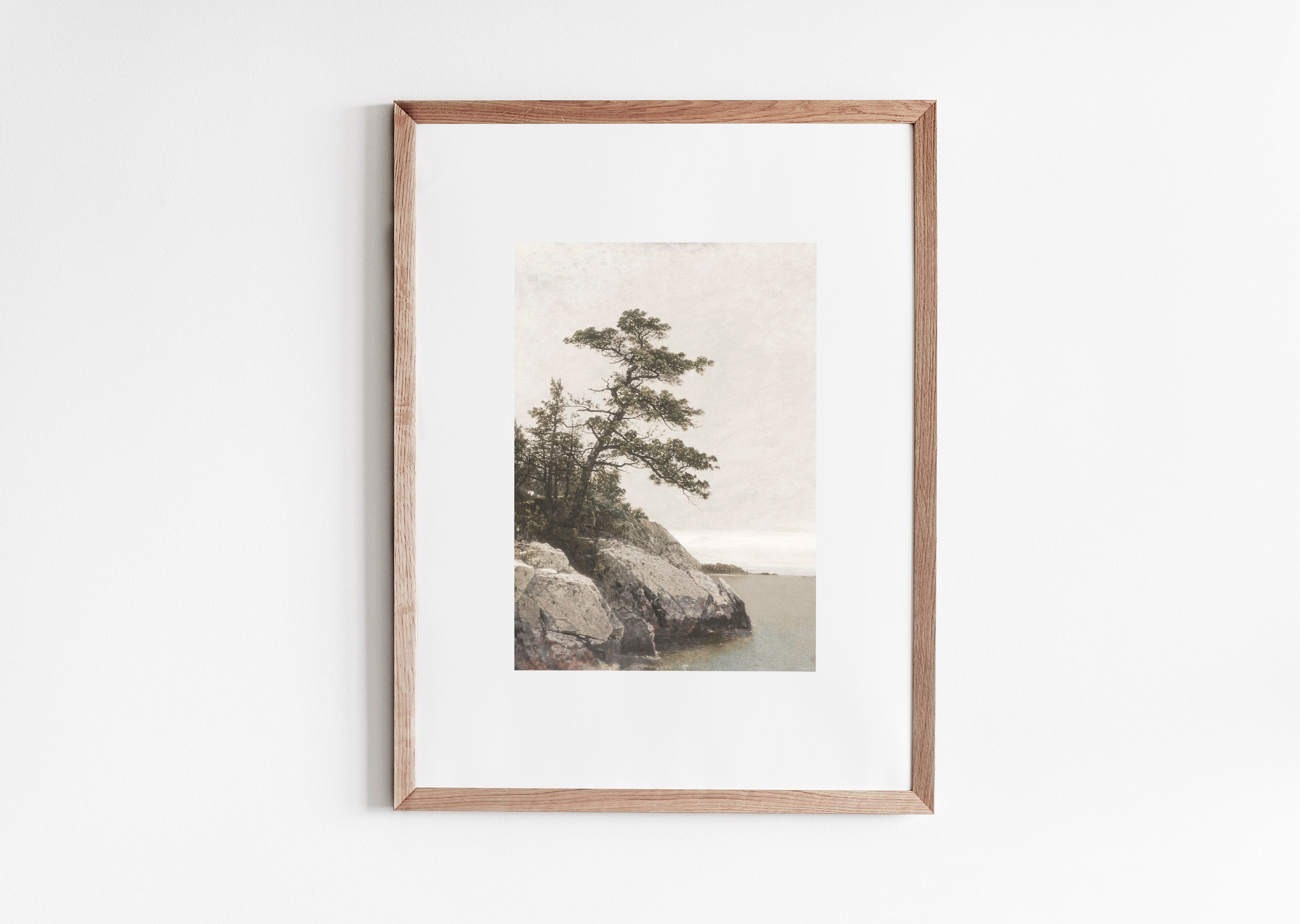 An 1872 painting presented as a giclee print, The Old Pine is a dramatic scene of a stately tree leaning over the rocky edge of a shore.