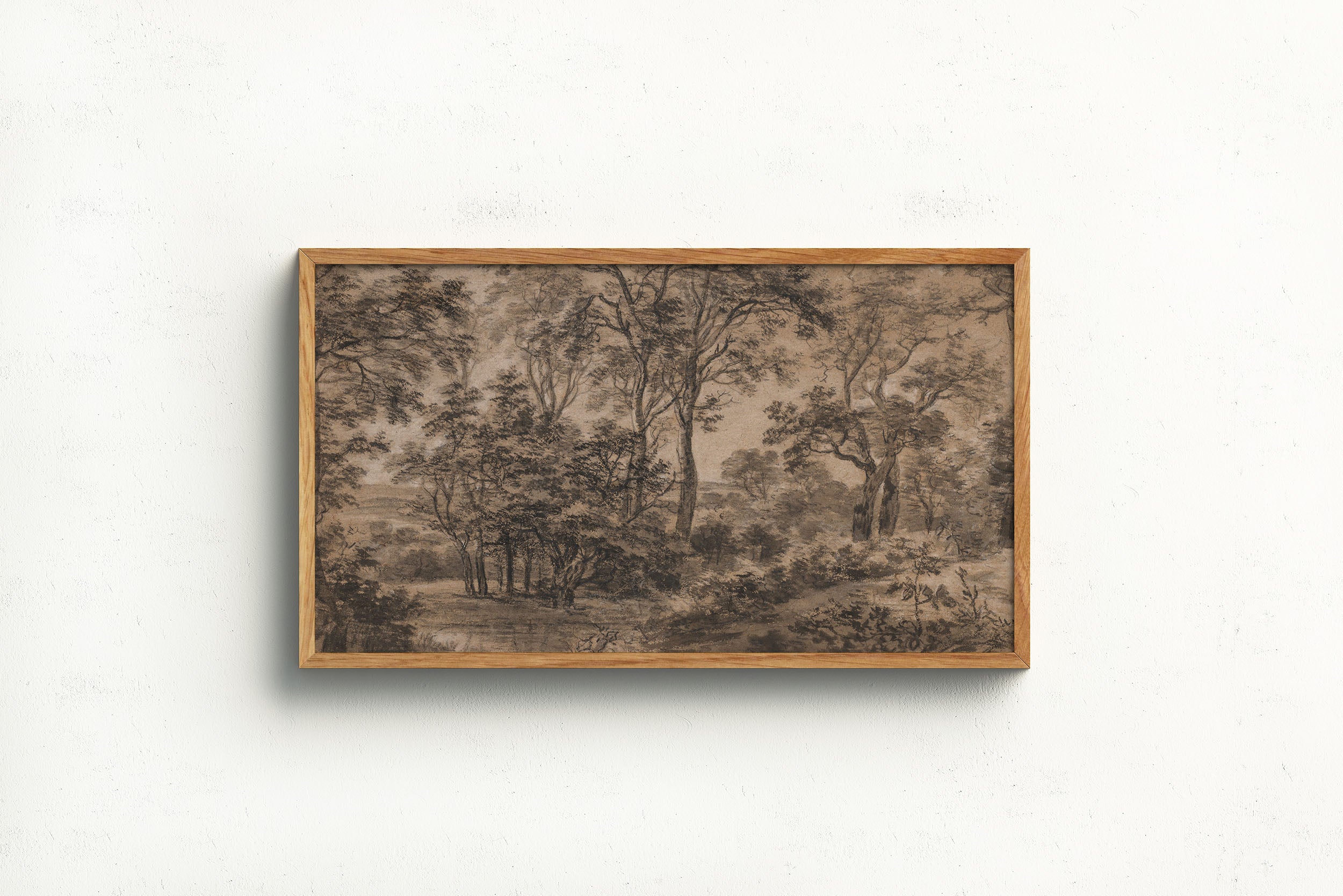 Rustic Wooded Landscape by Anthonie Waterloo, 17th century. A sketch-style etching depicting a dense, tranquil forest with detailed trees and dappled light.