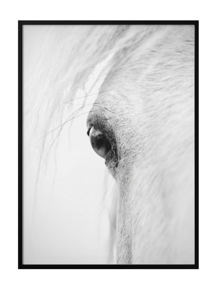 Whispers Of Stillness