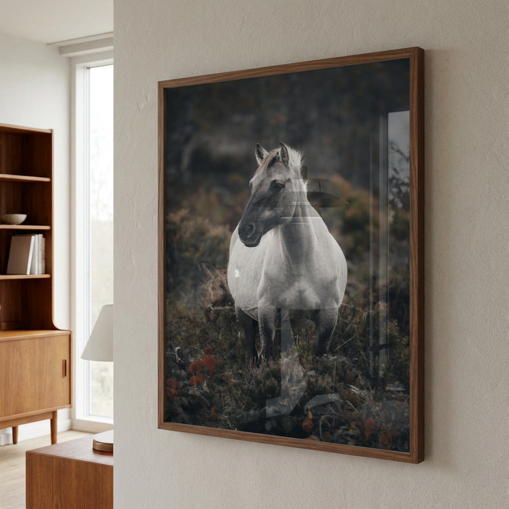 White Horse Portrait