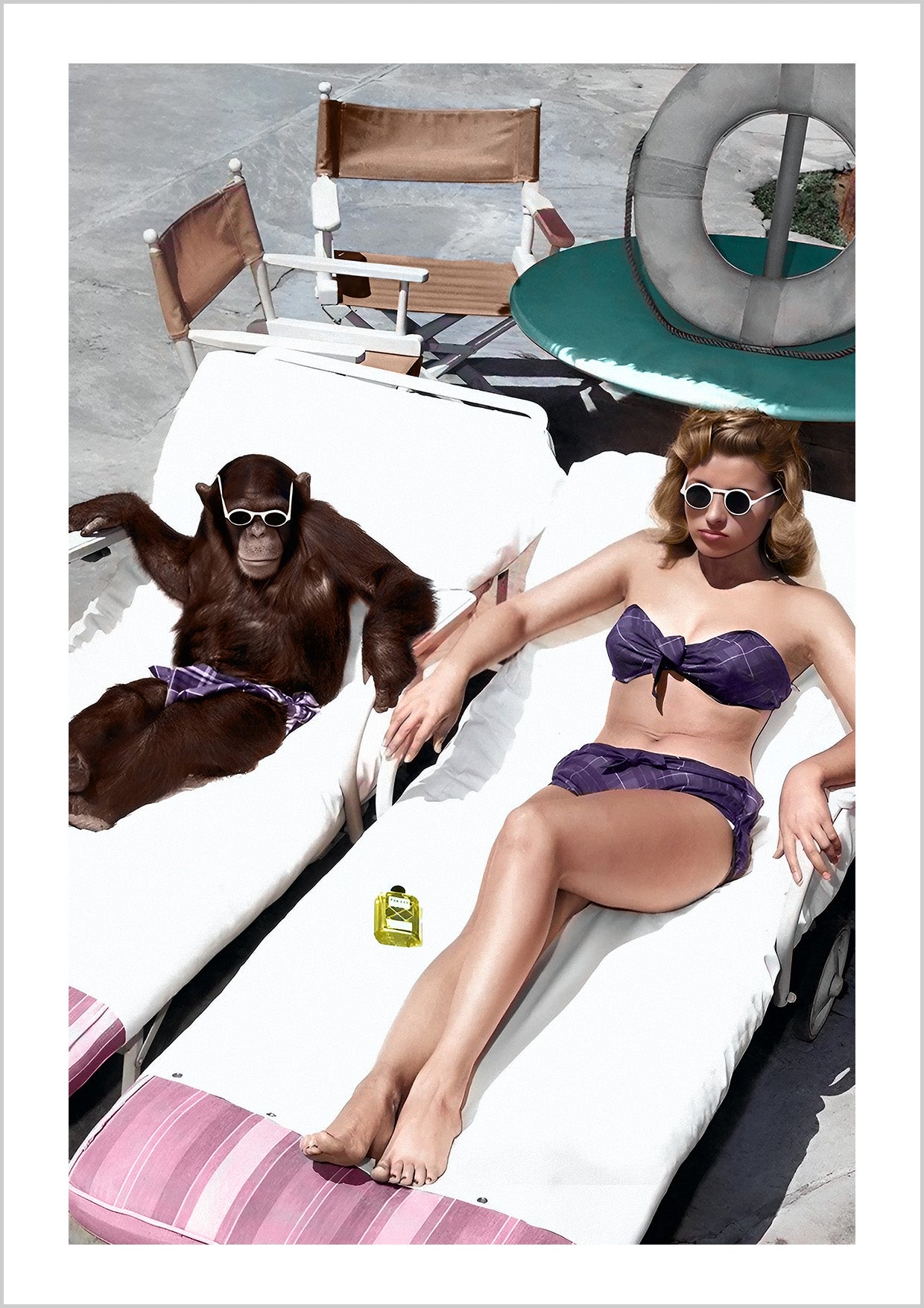 Prendre un bain de soleil avec un chimpanzé